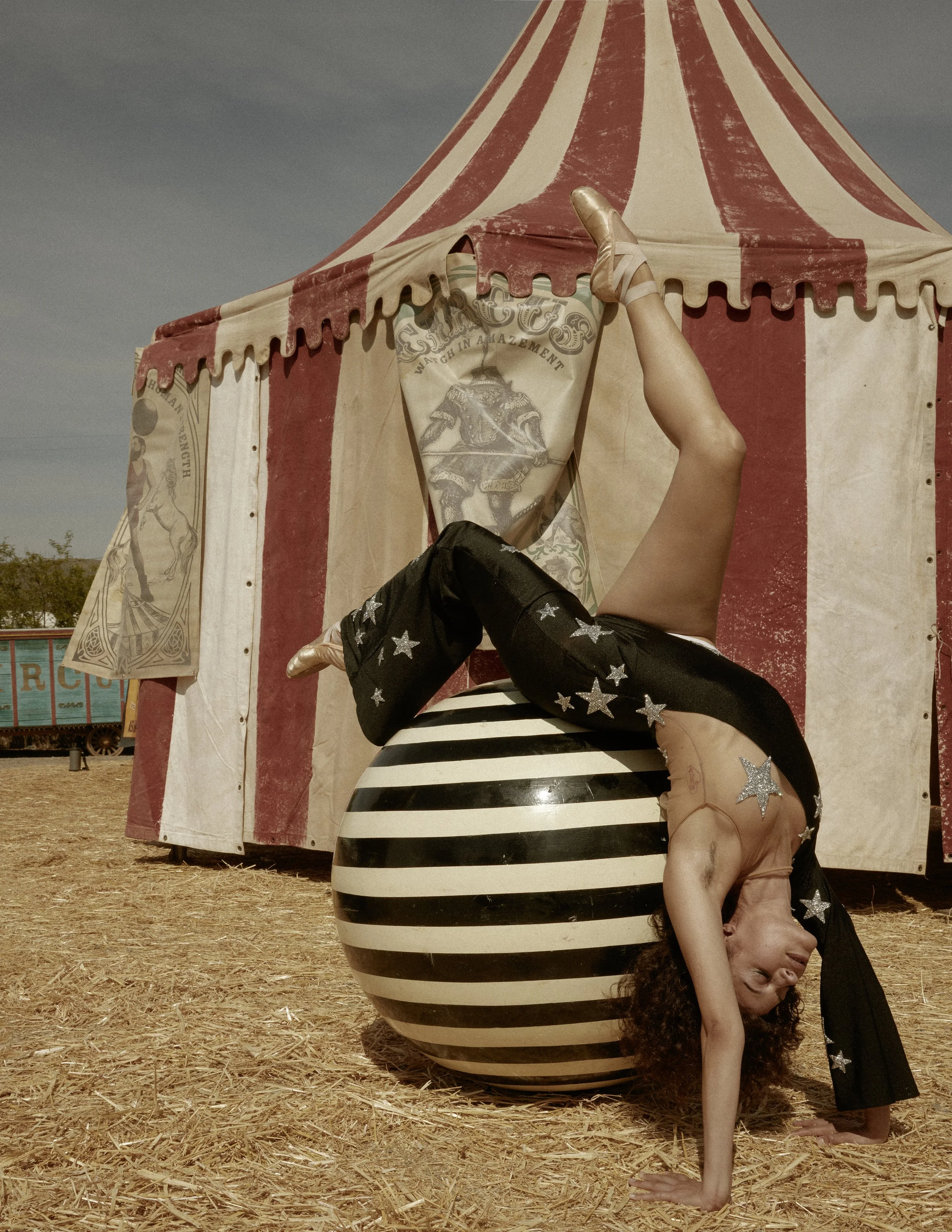 Untitled Capture22217.jpg