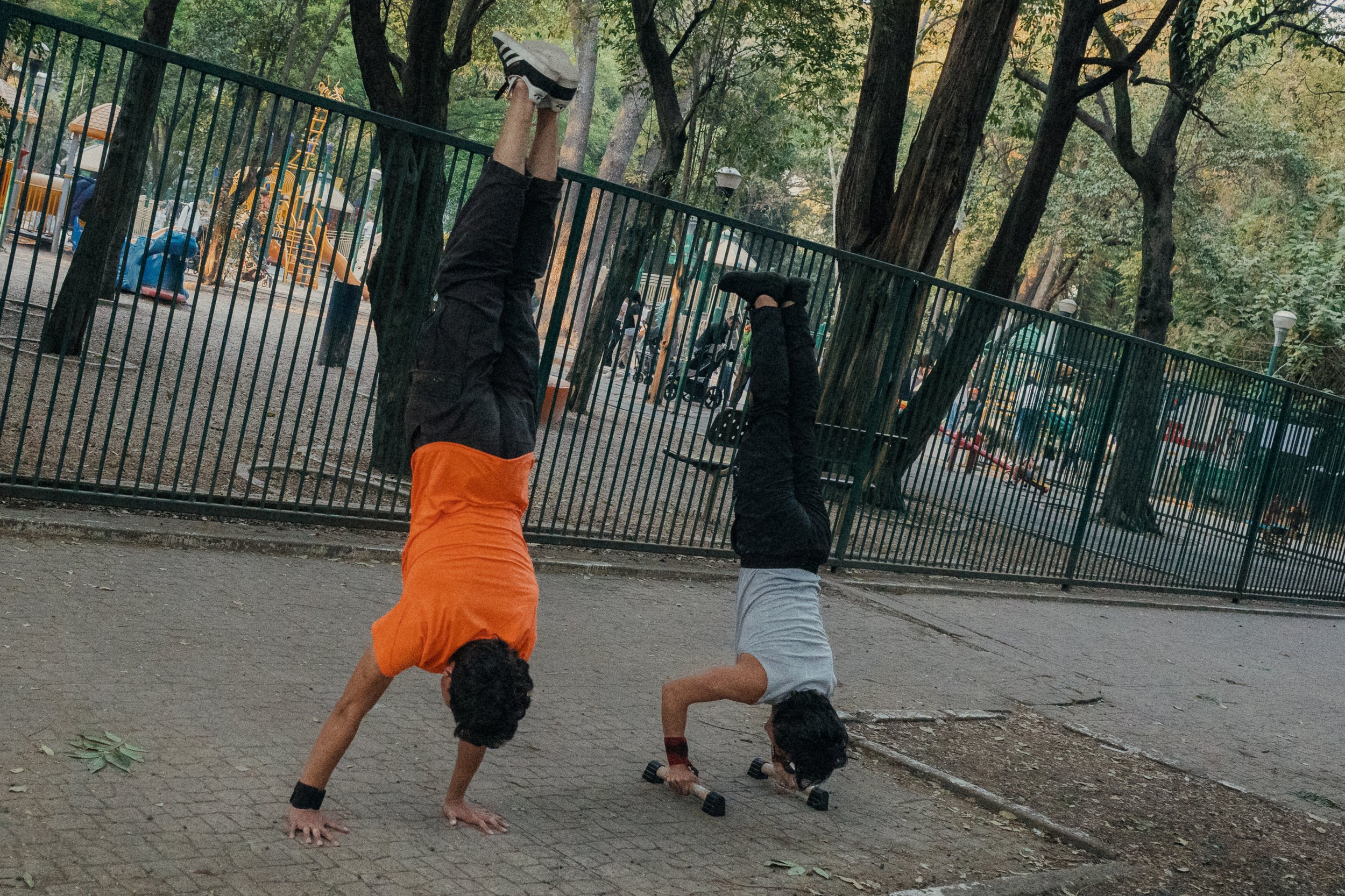 Two children performing handstands in a park, one on each side of a fence, with trees and playground equipment visible in the background.