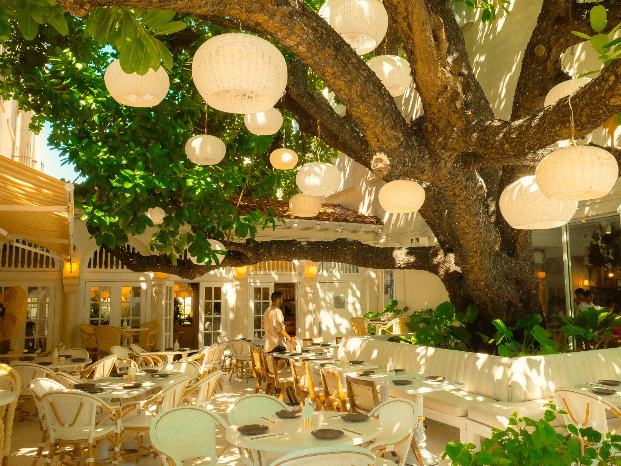An outdoor restaurant with a large tree growing through the center, decorated with hanging white paper lanterns, and surrounded by white and cream-colored furniture, including chairs and sofas, under dappled sunlight.