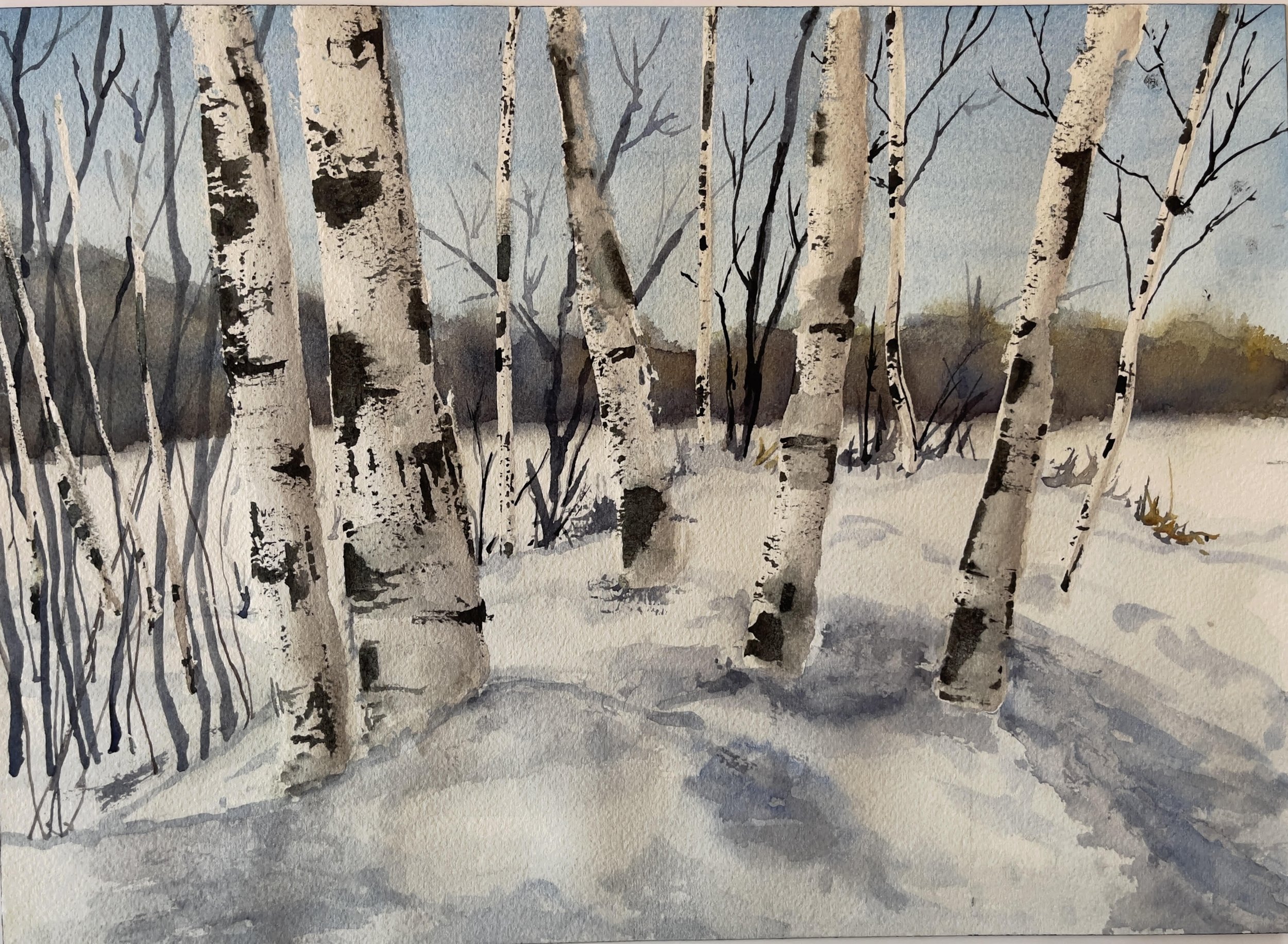 Winter Birch Trees, 2021