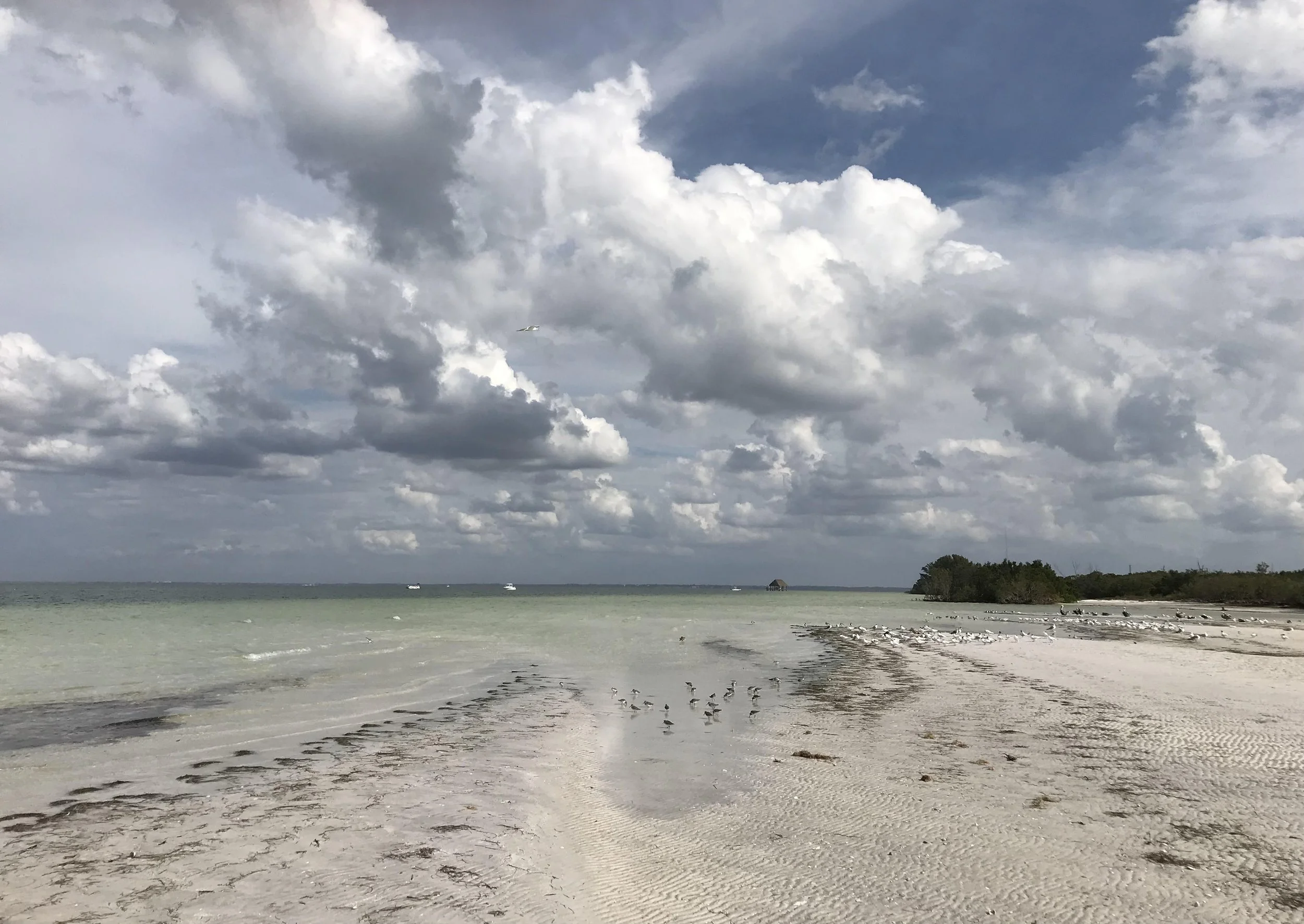 Florida Island