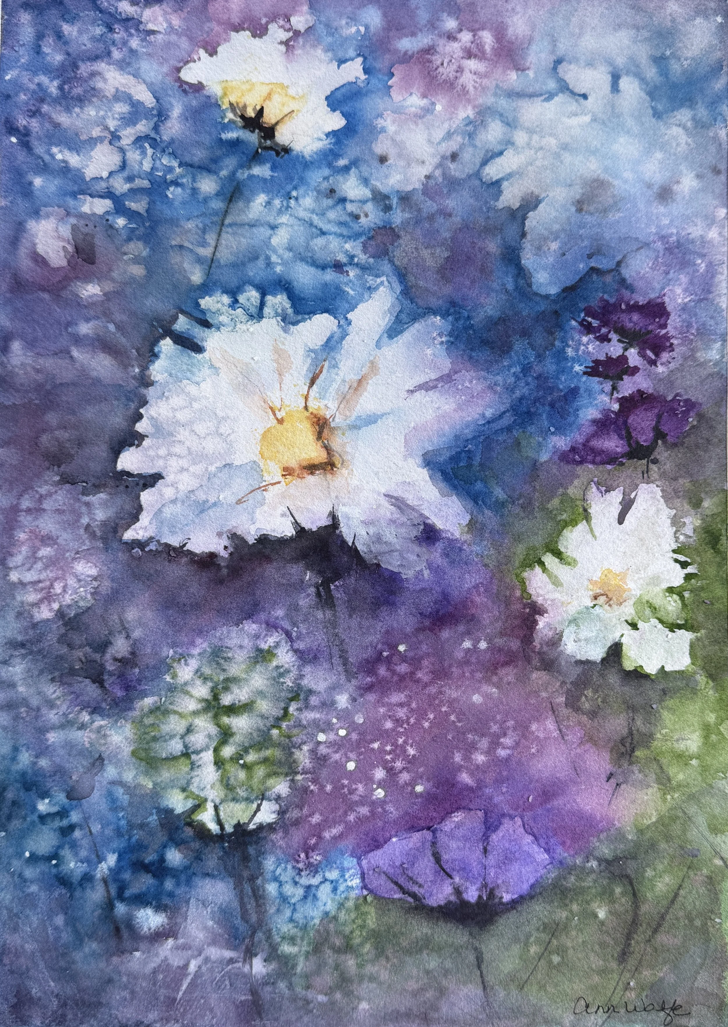Daisy A Day Dear
