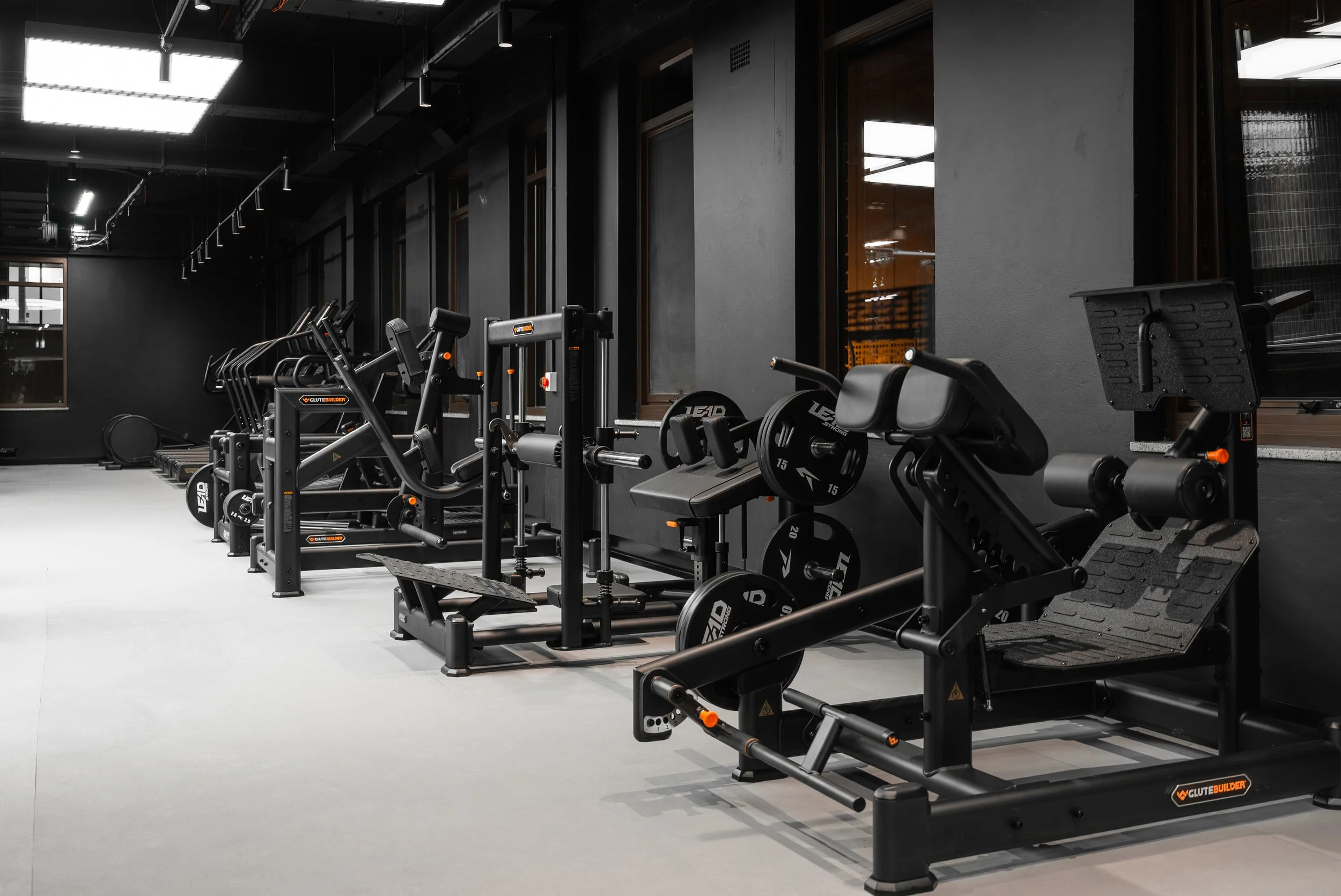 Interior view of a modern gym with various exercise machines including rowing machines, a leg press, and weight plates, all arranged along a gray wall with large windows and a bright ceiling light.