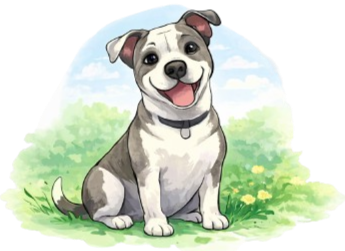 lucy's corner, pet CPR and safety tips