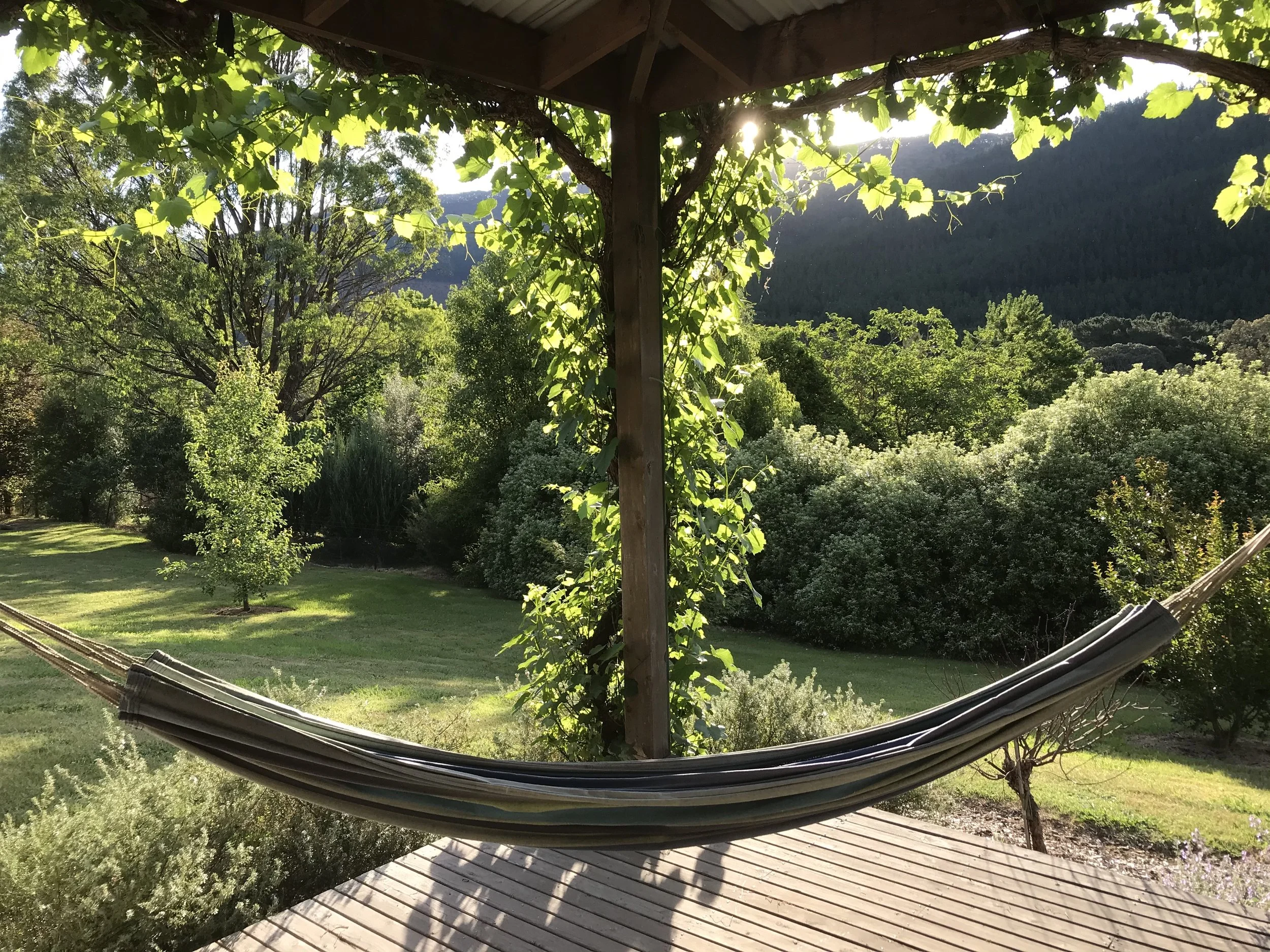 A hammock on the verandah, overlooking a lush green garden with Mystic mountain in the background, and sunlight filtering through leaves.