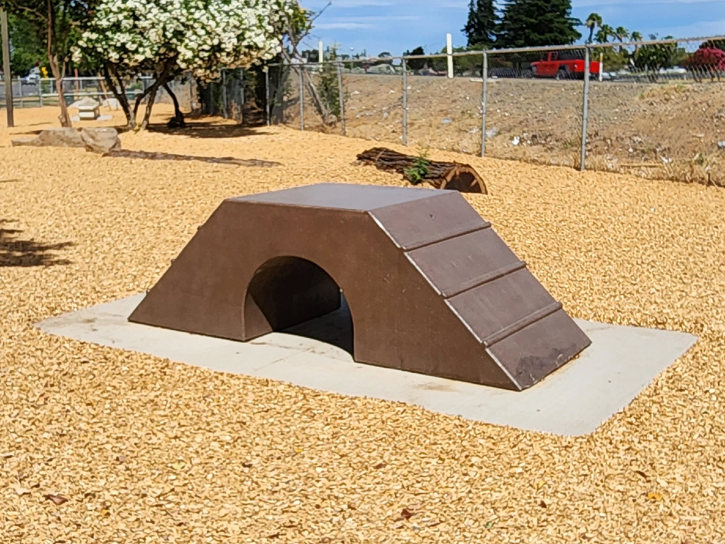 Dog Agility Equipment