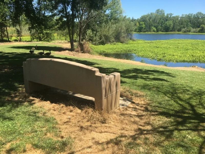 Anderson River Park - City of Anderson