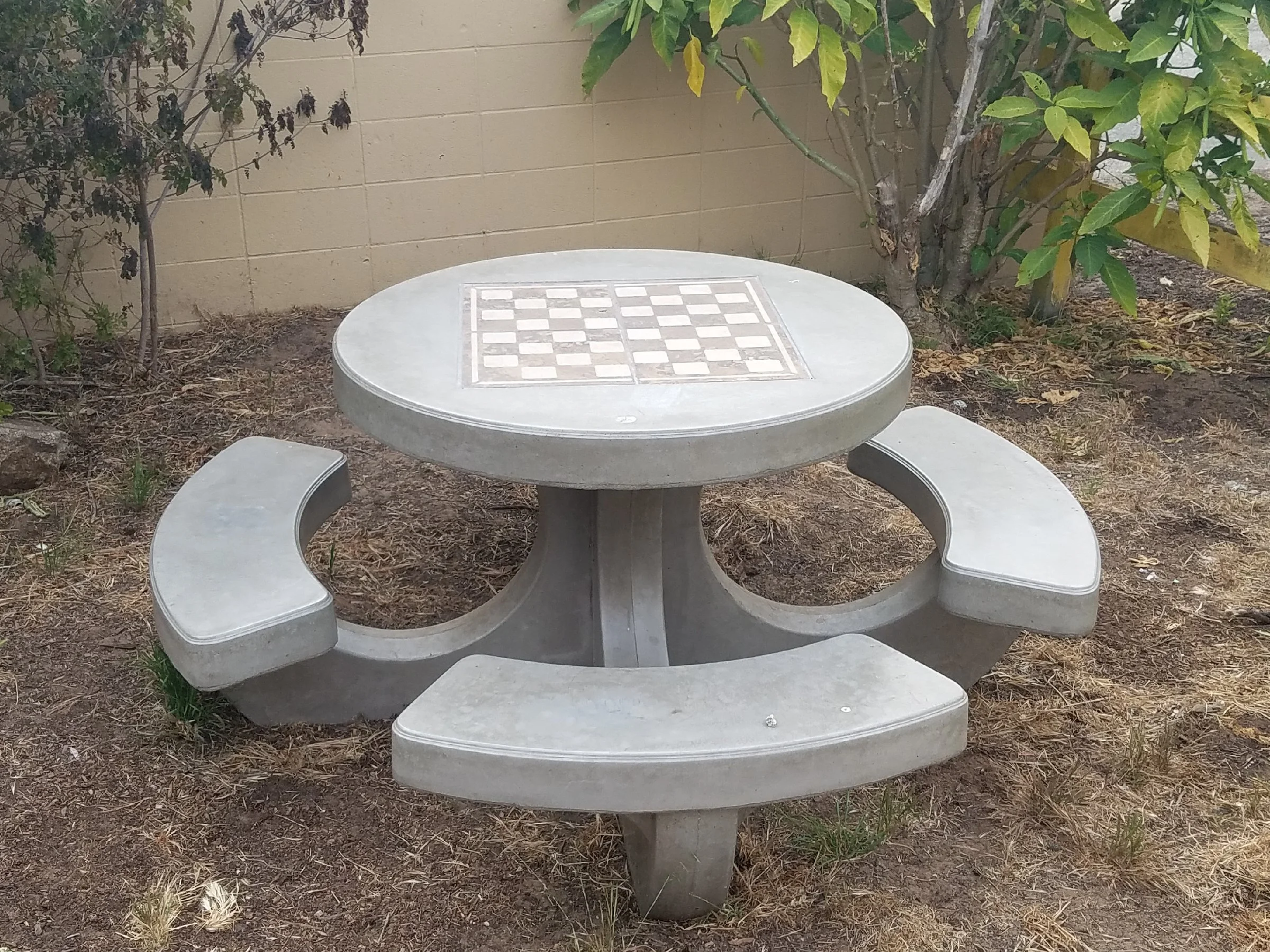 107S Checkerboard.jpg