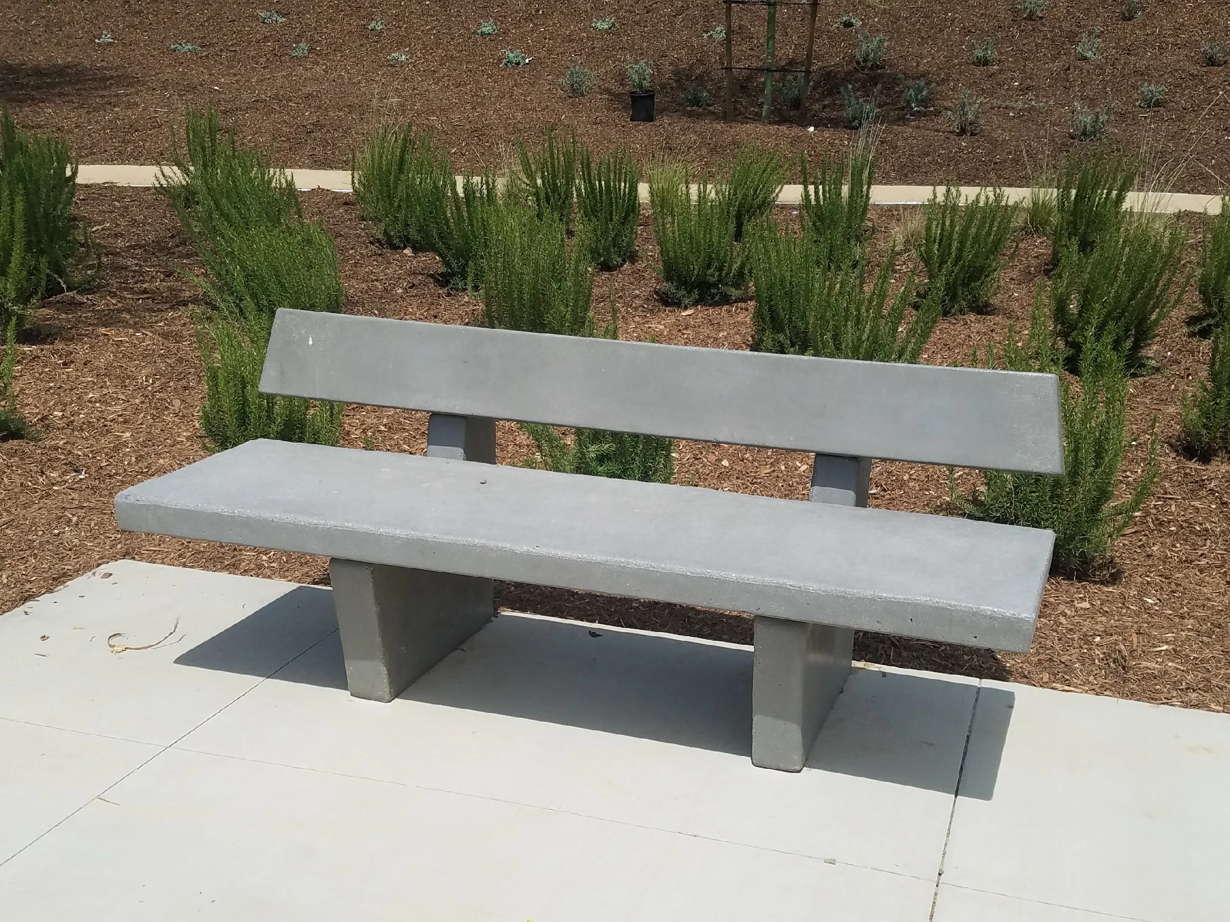 #424 - Angled Bench