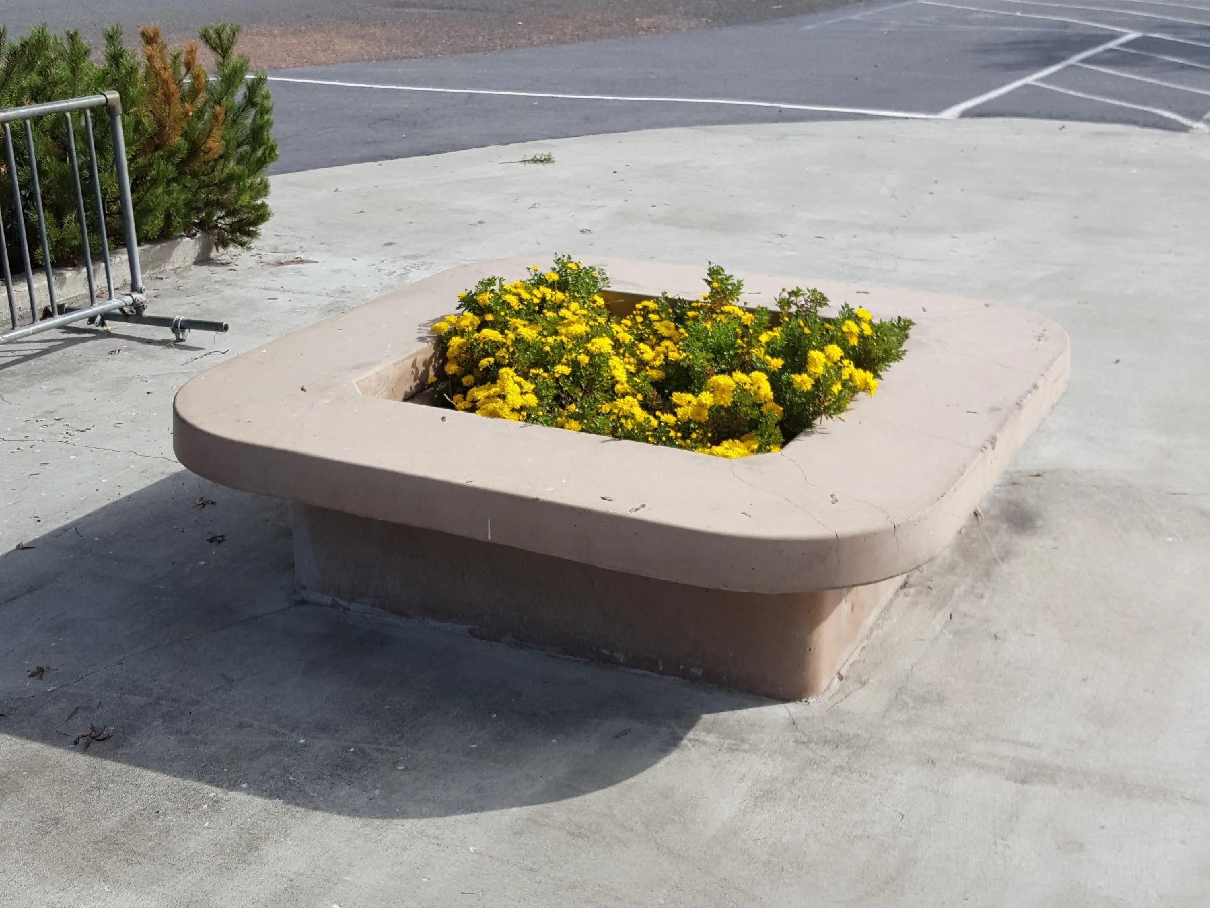#201 - Raised Planter w/Bench