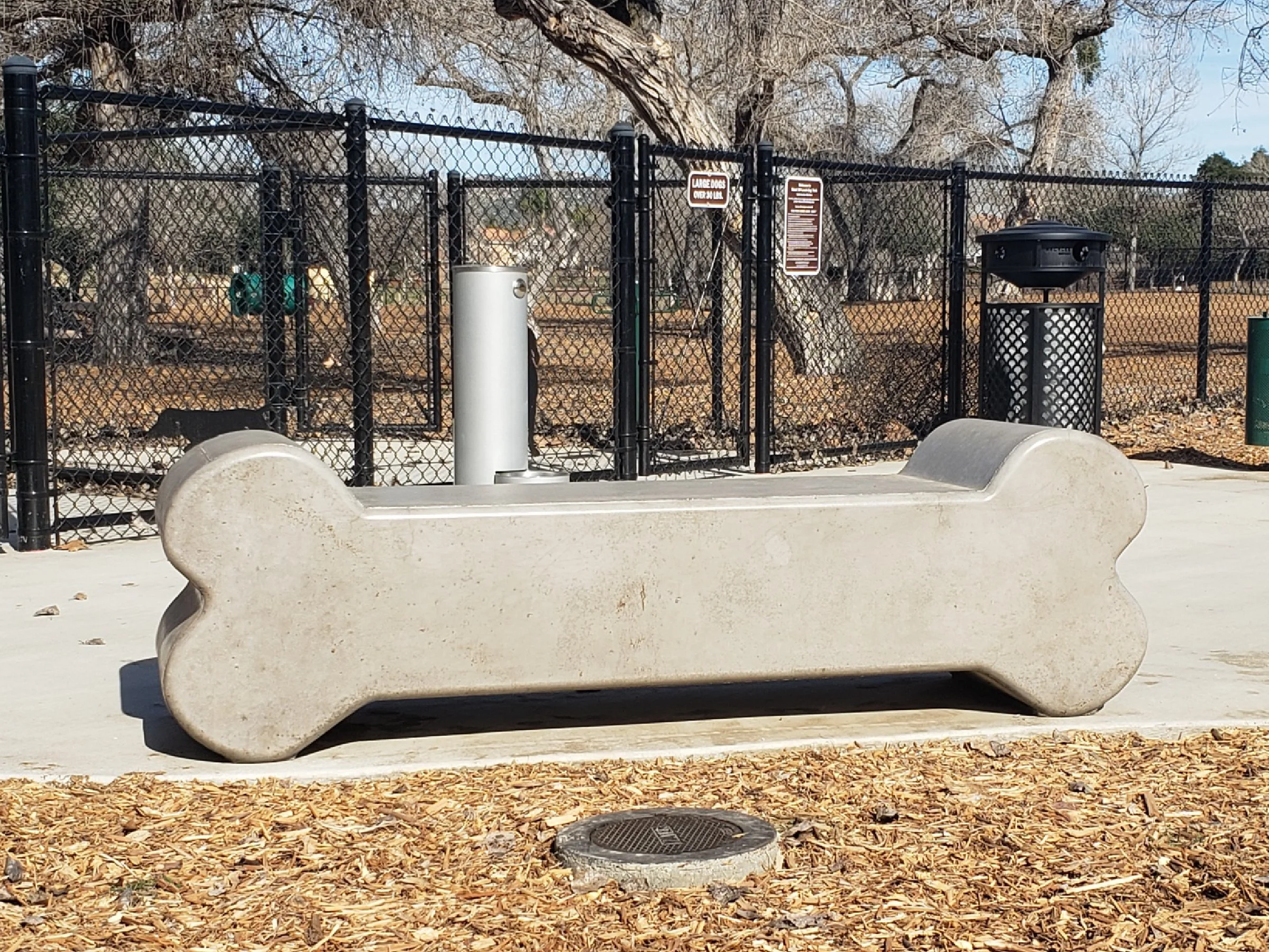499 dog park.jpg