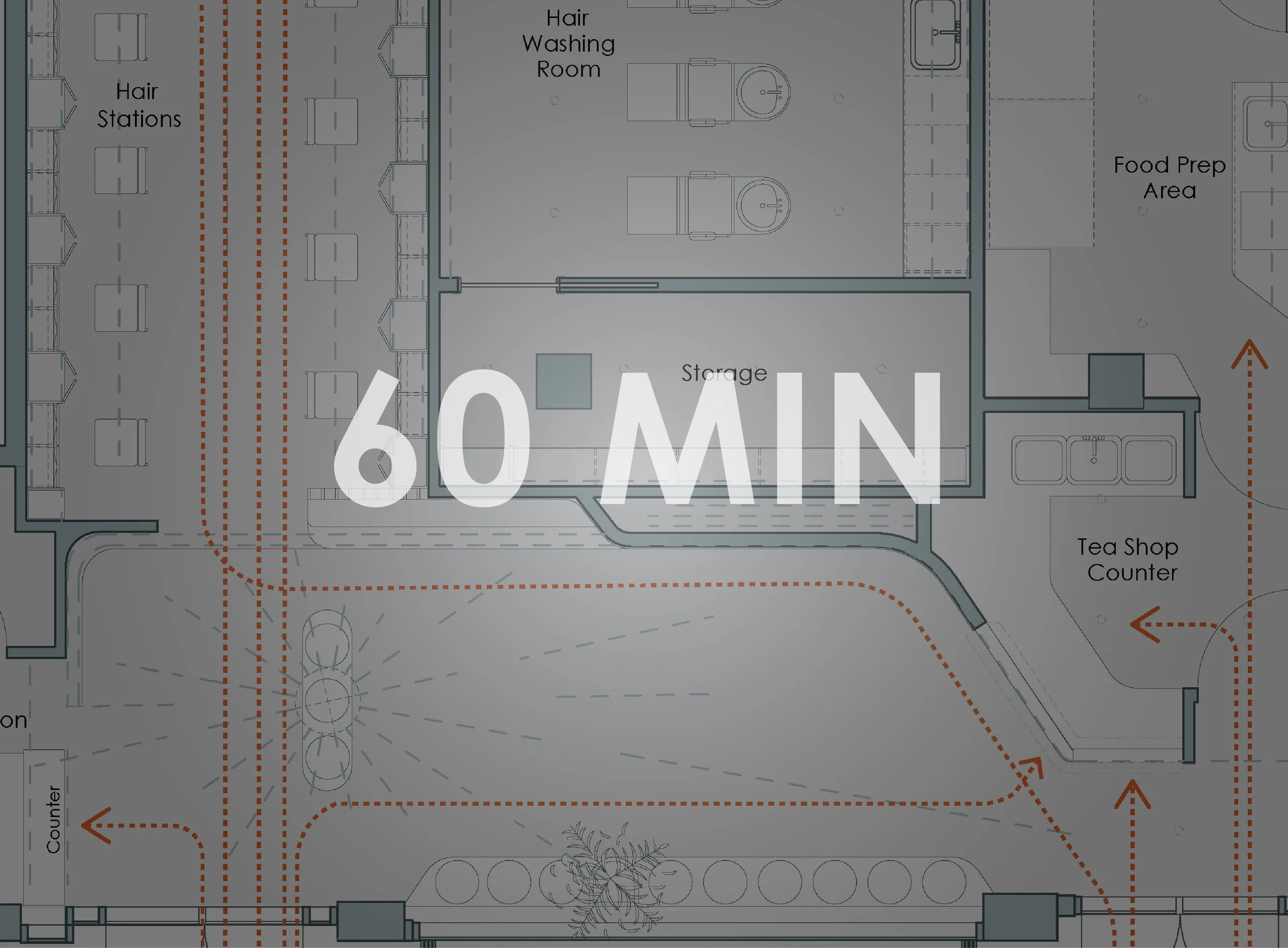 Standard Consultation (60 minutes)