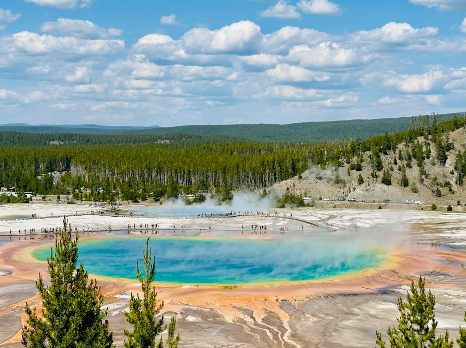 Yellowstone National Park: 5 Mistakes to Avoid This Summer