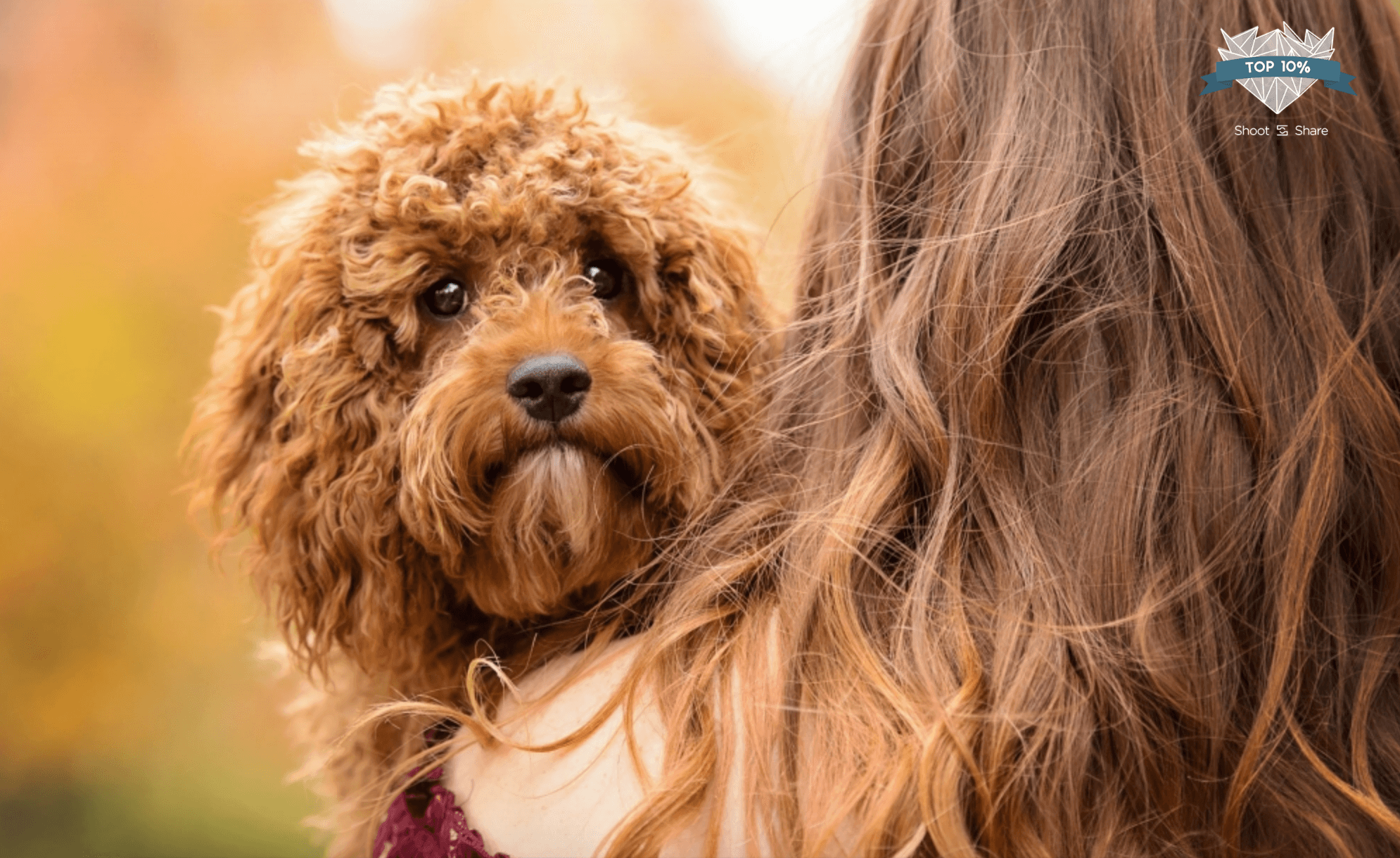 Shoot and Share Contest | Photographers in Williamsport PA