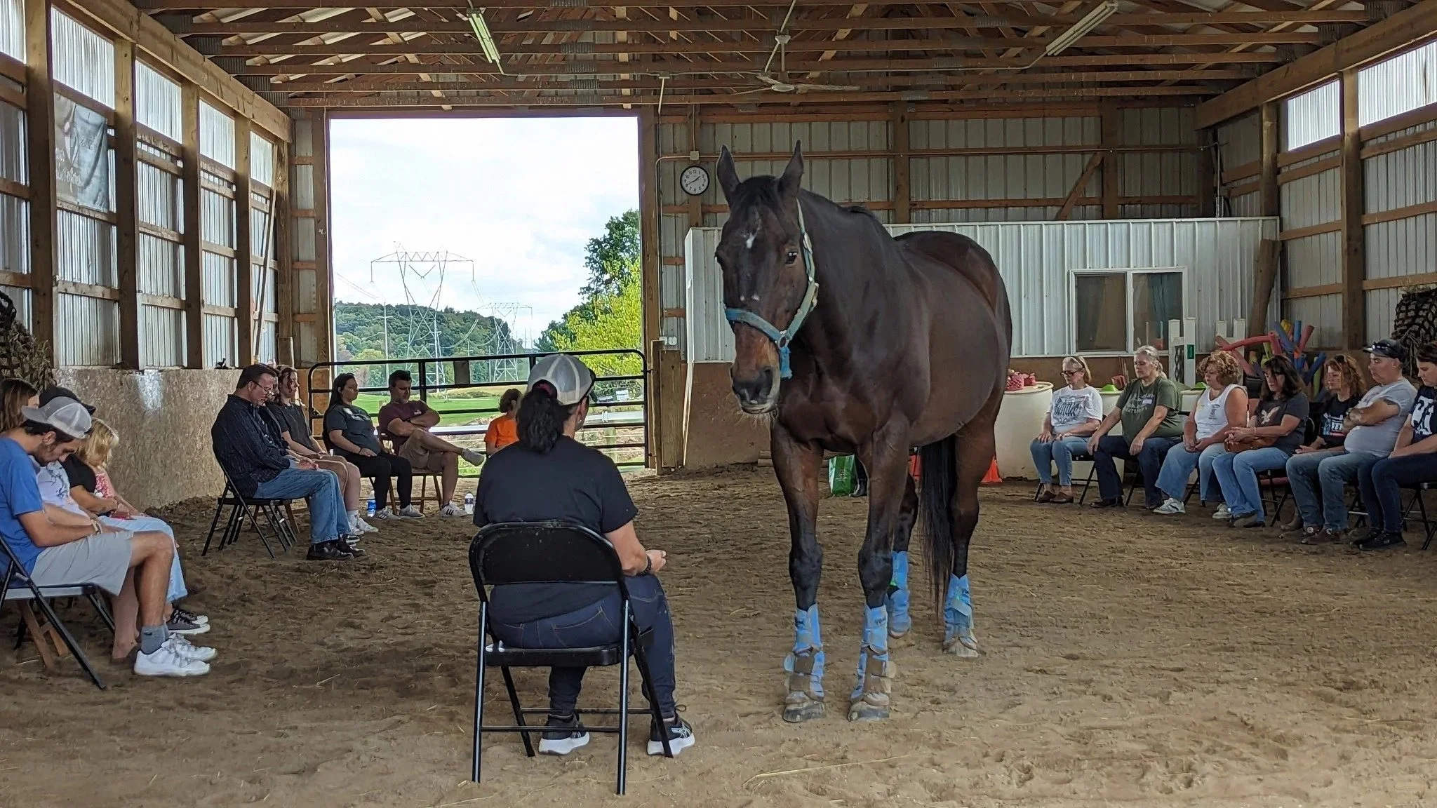 Michele+and+Sage+the+horse+in+a+group+herd+meditation+June+2024.jpg