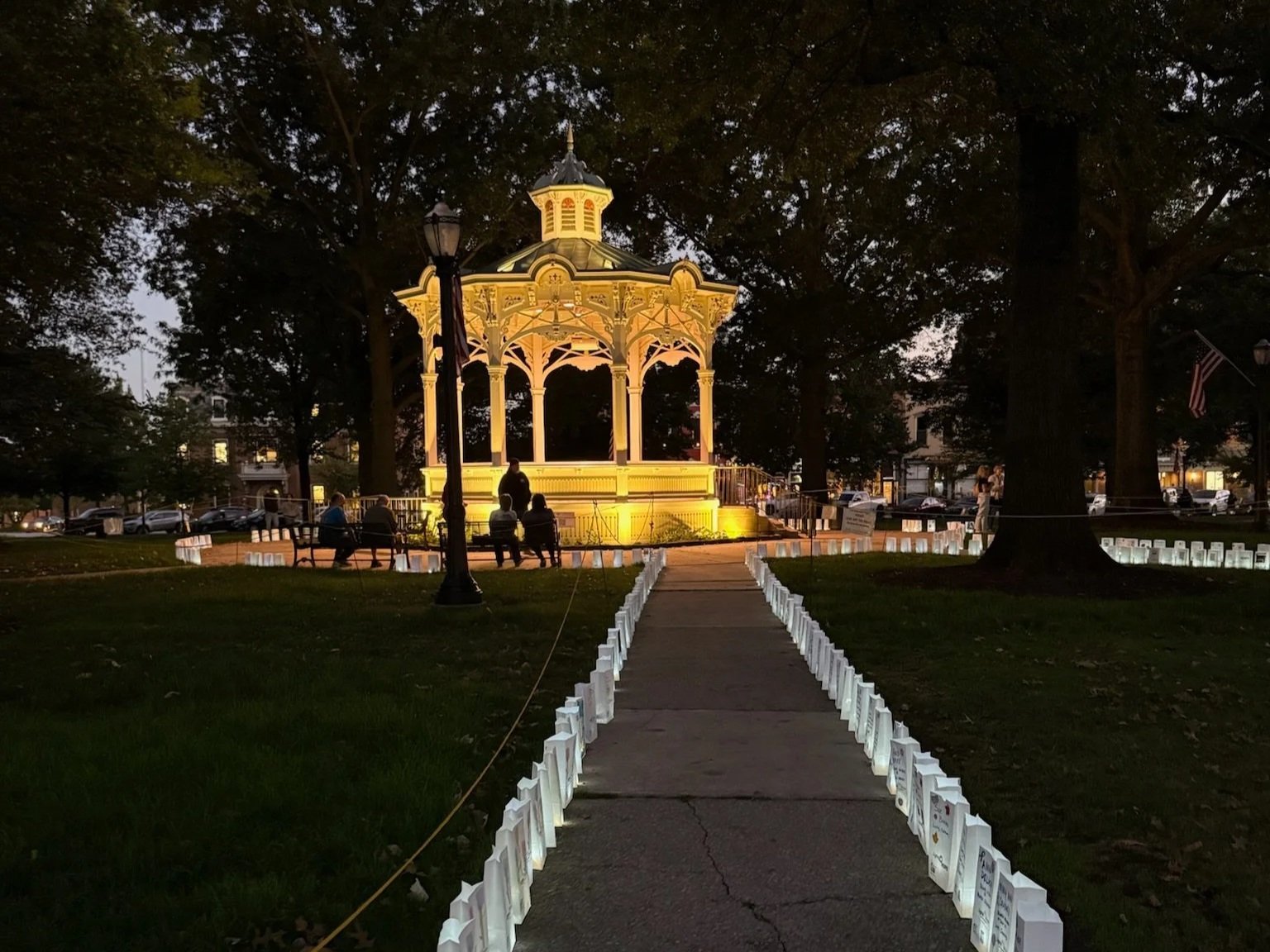 Illuminating the Journeys and Memories: Lights of Hope’s Impact in Medina County