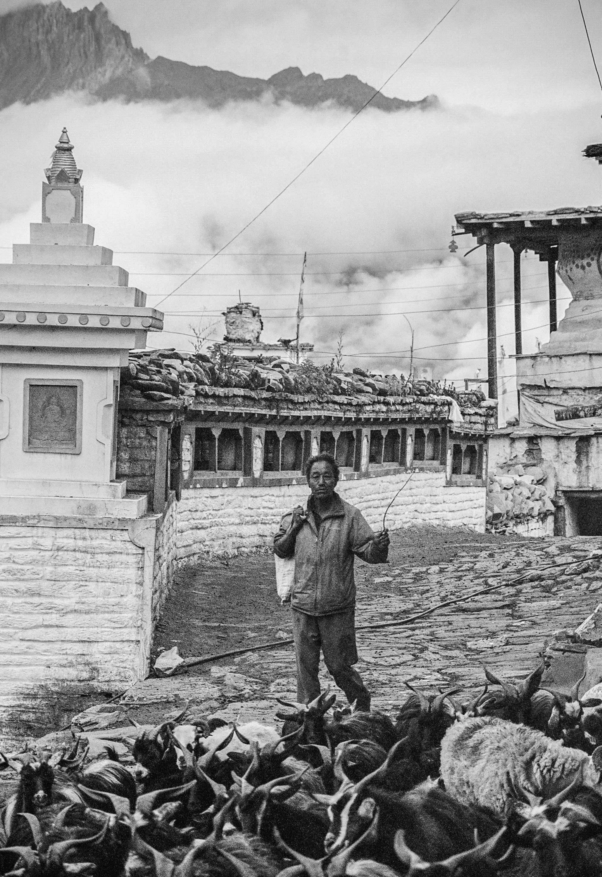 Copy of 81680024-8.jpg