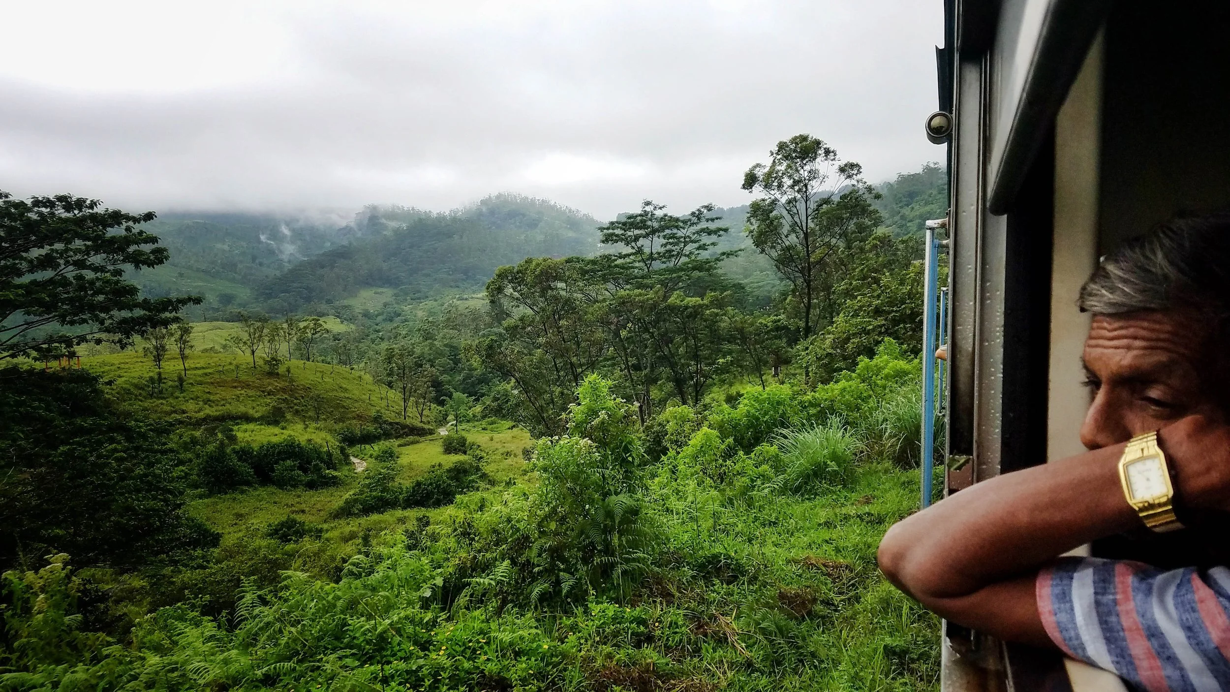 Copy of 20180604_105403-01-01-7.jpg