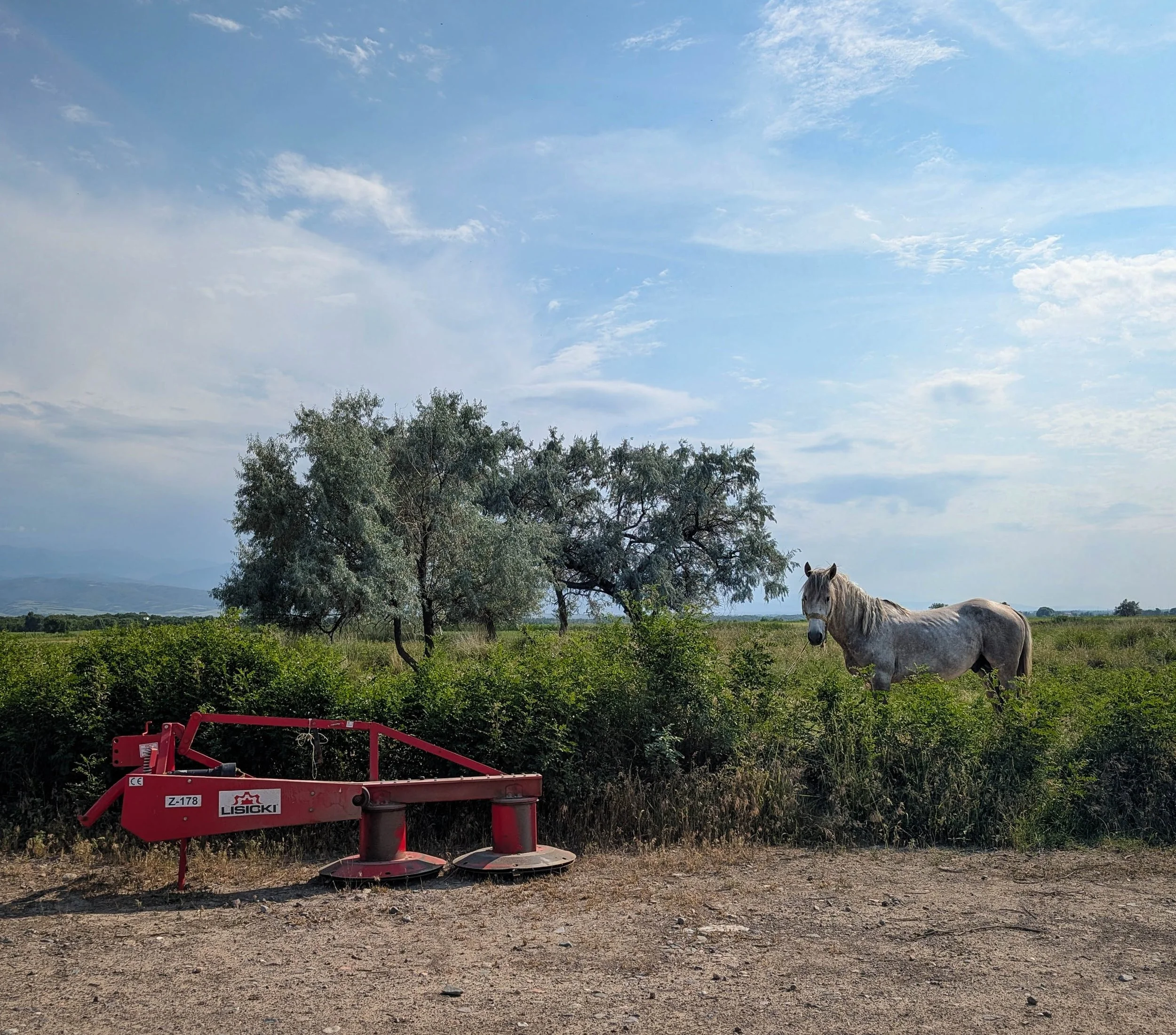 PXL_20250612_103214594.RAW-01.COVER (1)-9.jpg