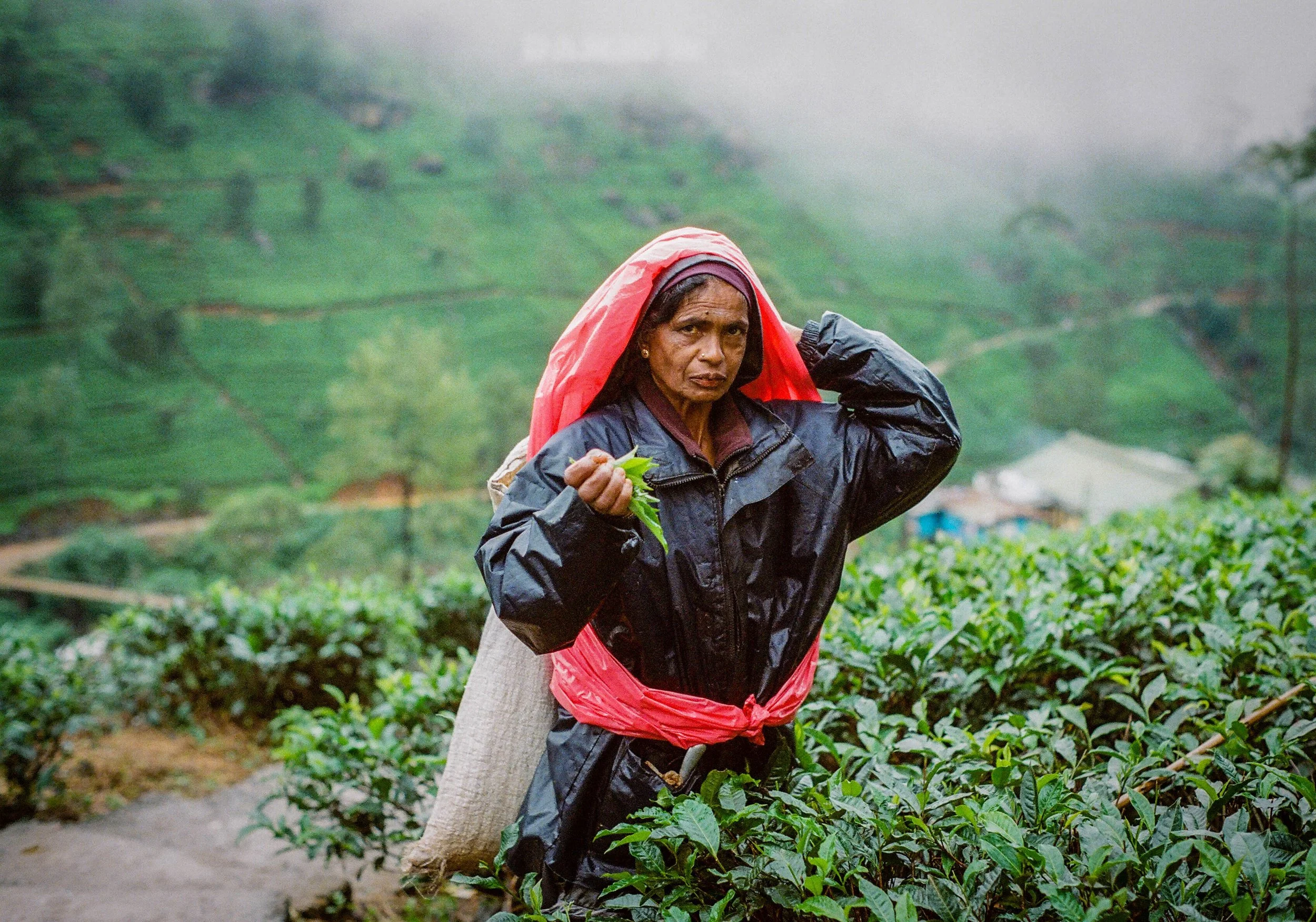 85780029 copy-21.jpg