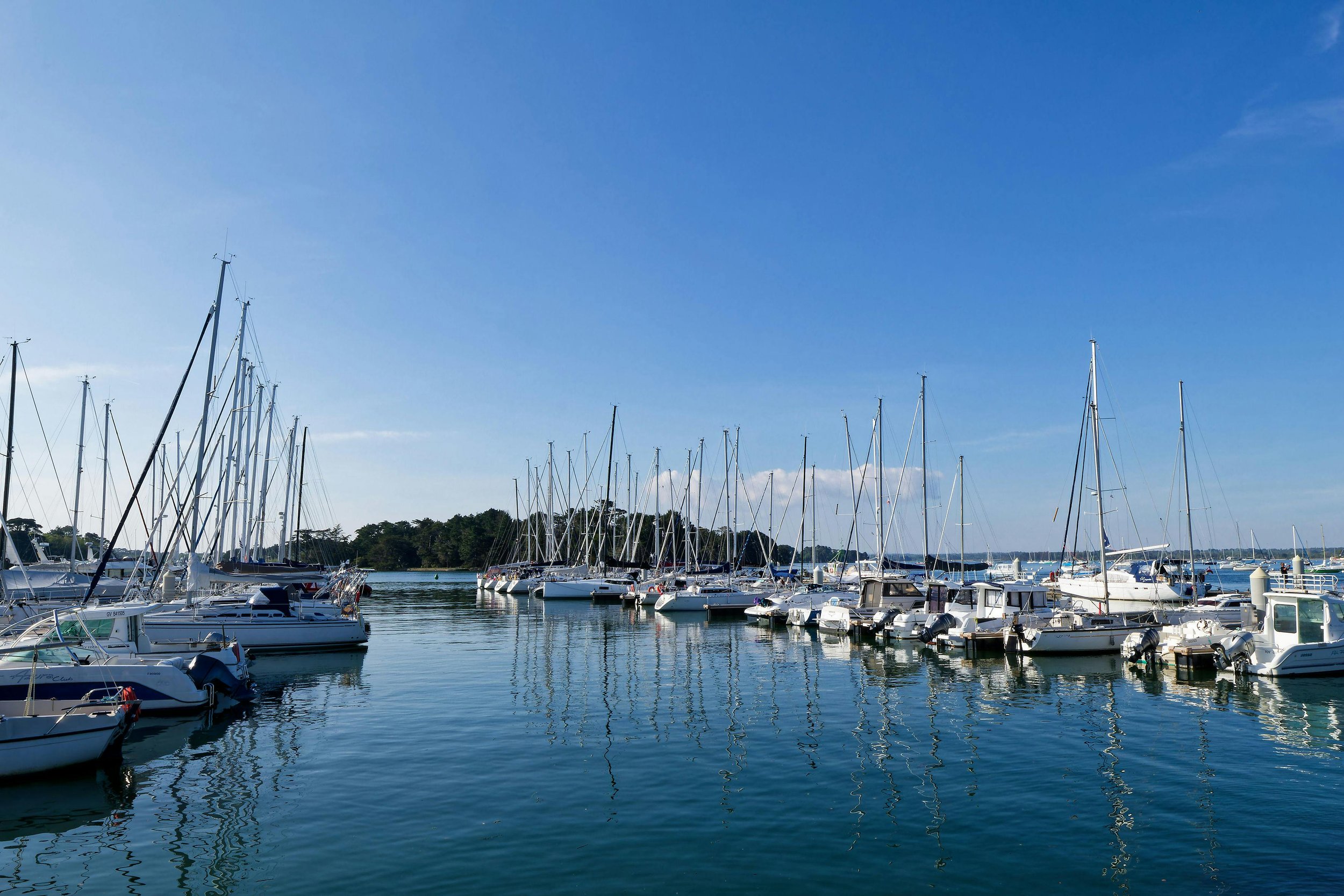 A marina with numerous sailboats docked, calm blue water, and a clear sky.