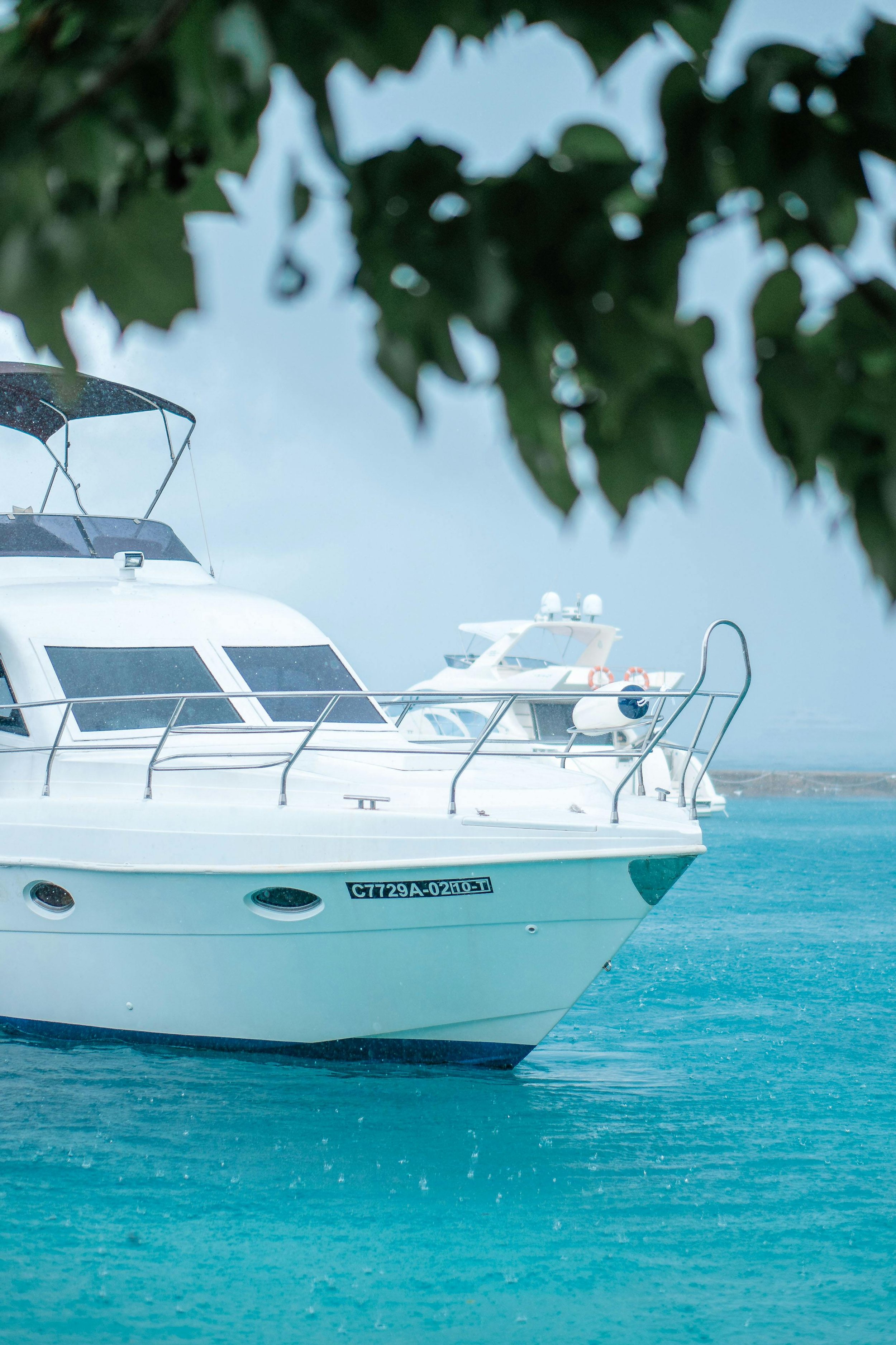 View of a white yacht floating on turquoise water, partially obscured by green leaves at the top of the image.