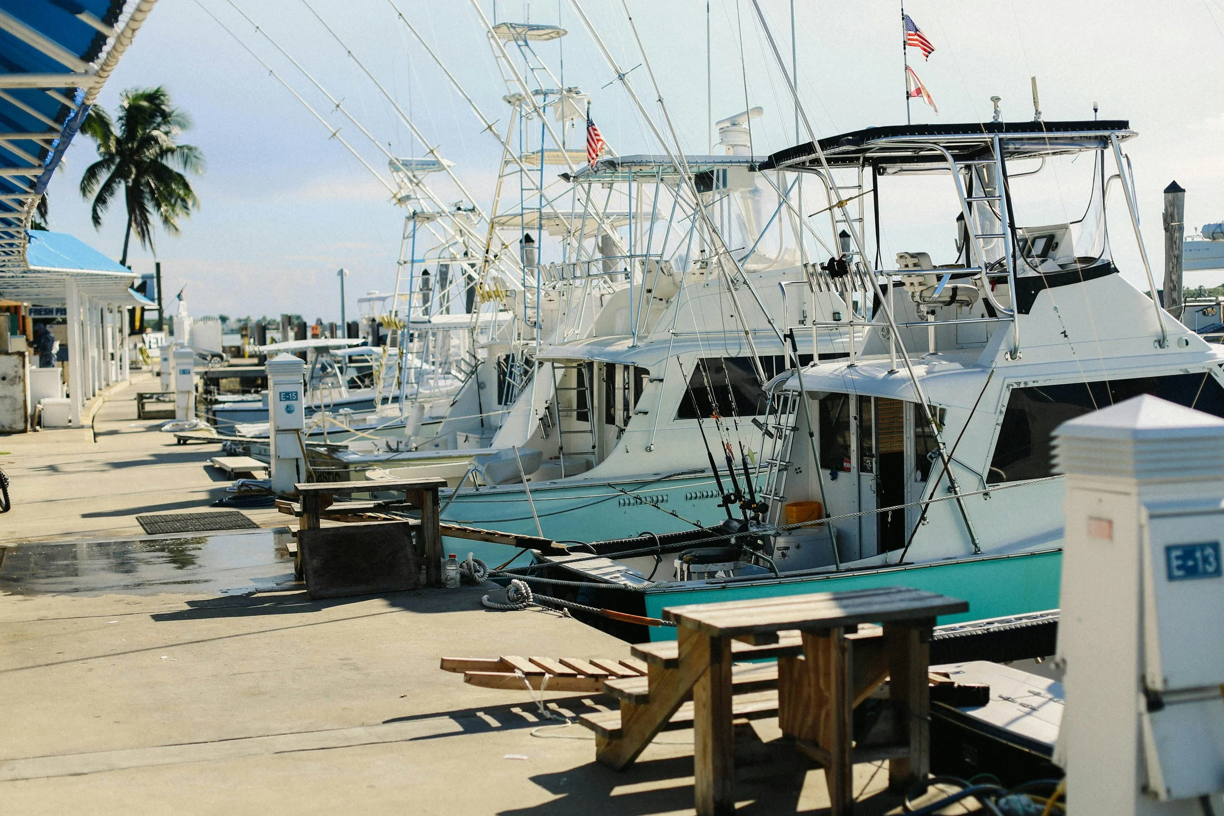 Multiple boats docked at a marina under a clear sky, with a few palm trees visible in the background.