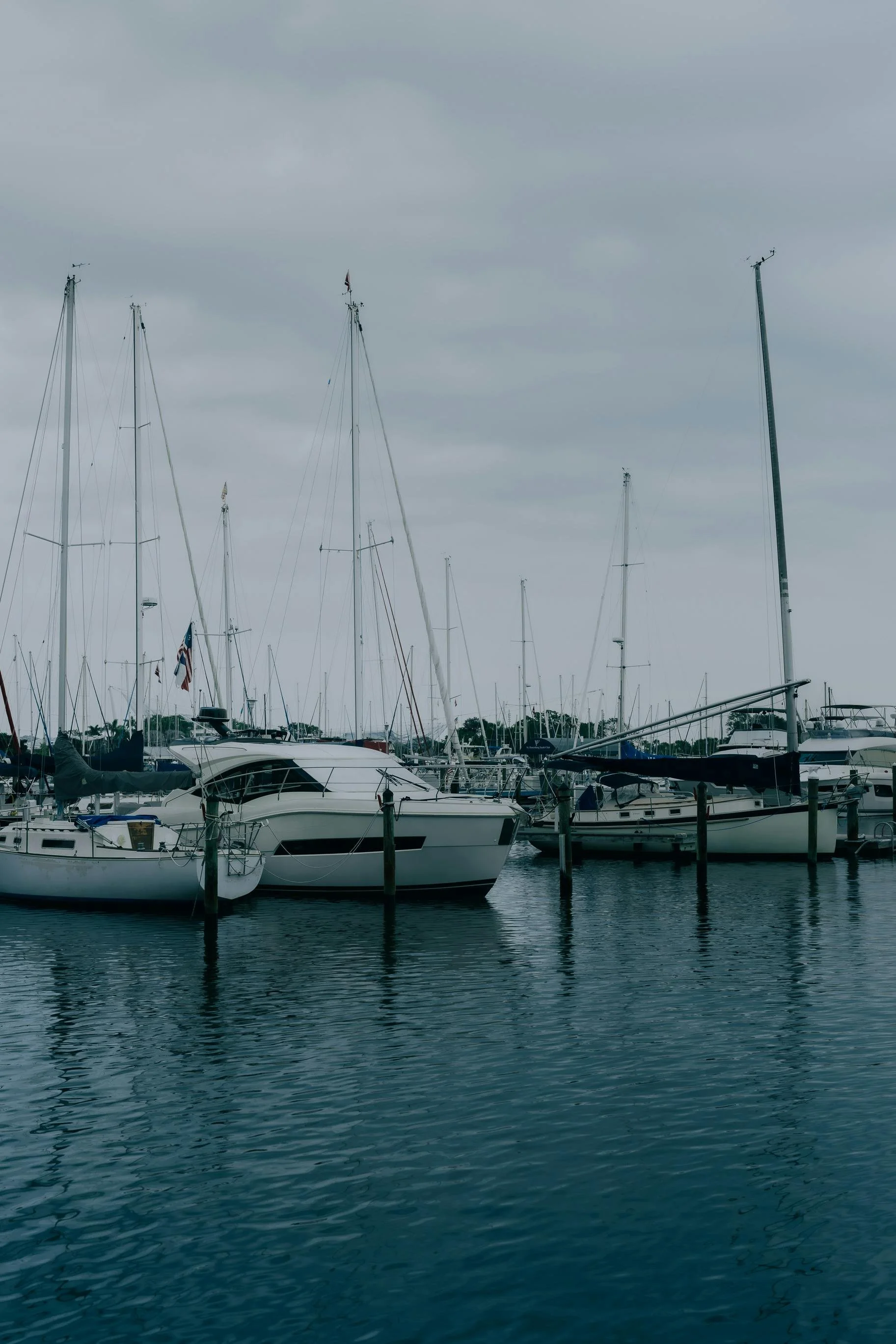 Multiple sailboats and yachts docked at a marina on a cloudy day.