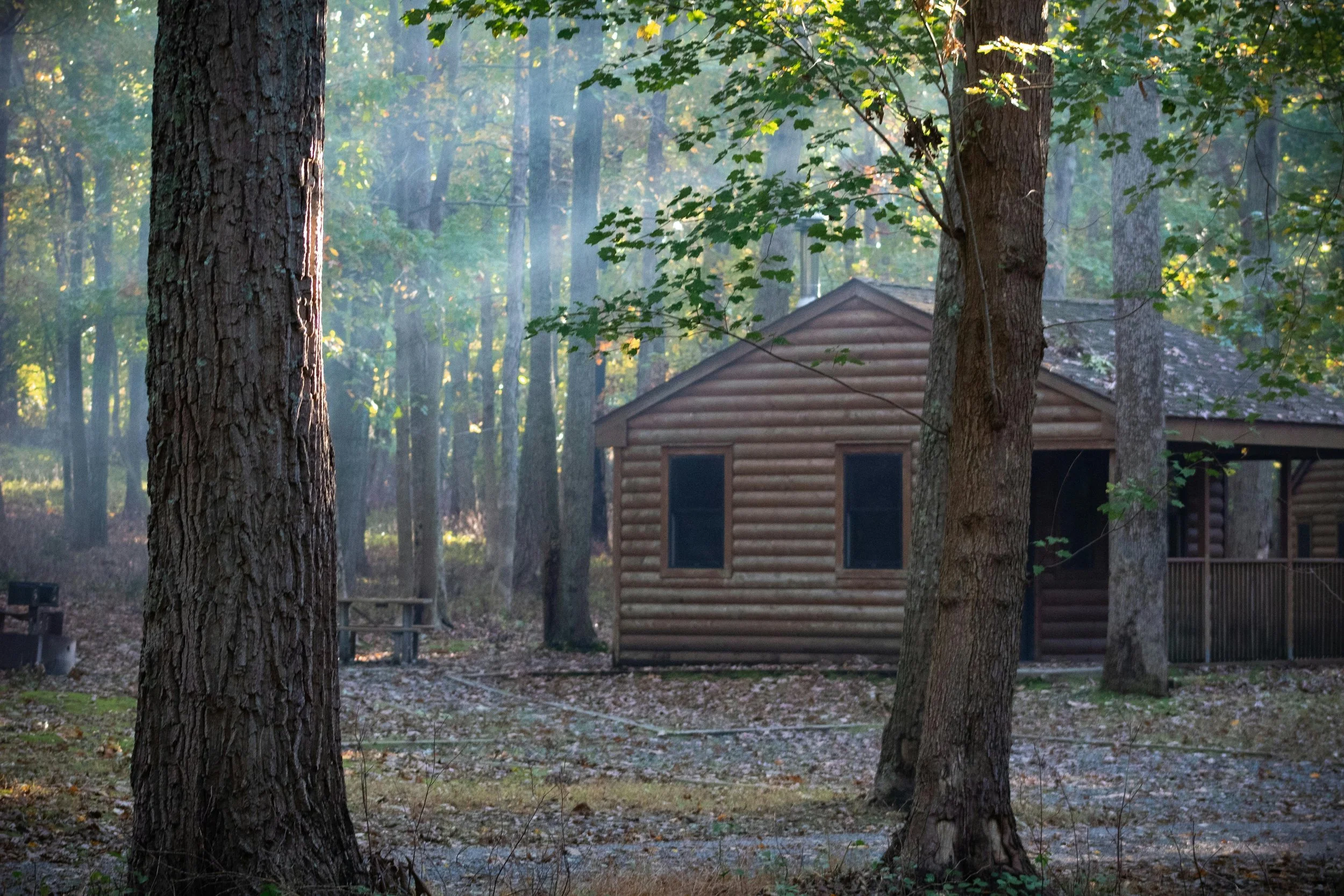 A wooden cabin surrounded by tall trees in a forest with sunlight filtering through the leaves.