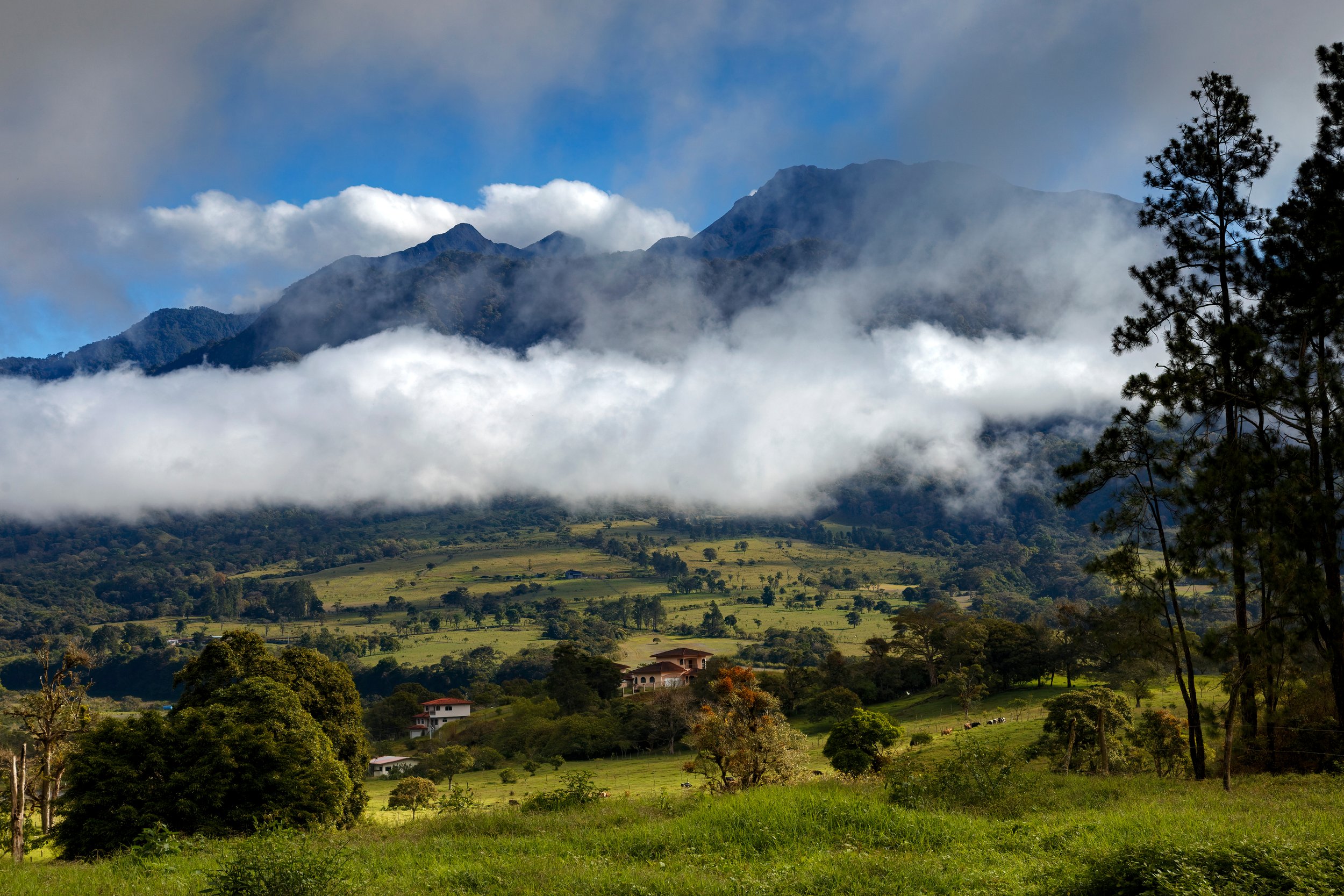 Boquete Panama cloud forest trail — private specialist guide VIARE