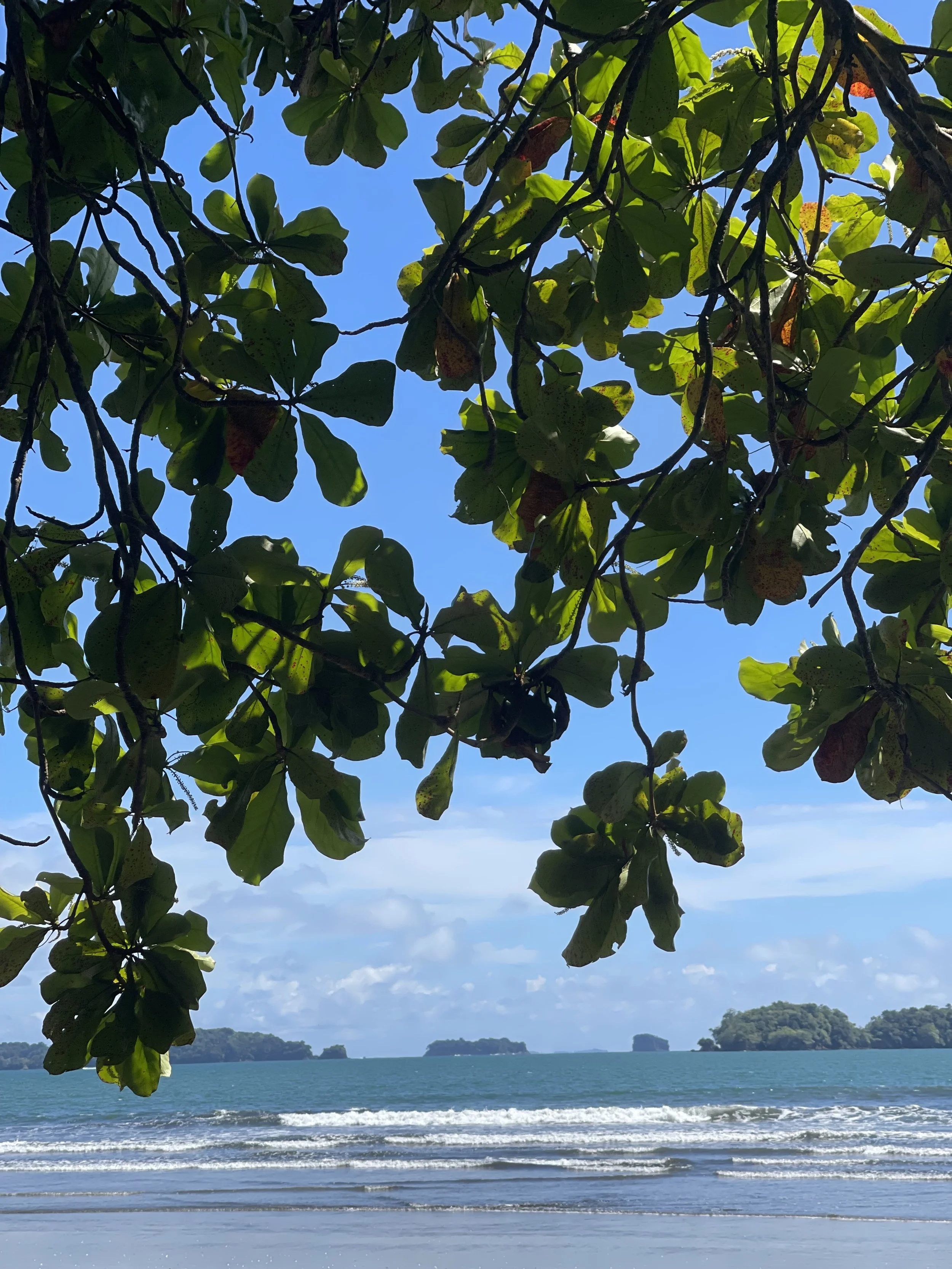 Coiba National Park Panama UNESCO Biosphere Reserve — private access