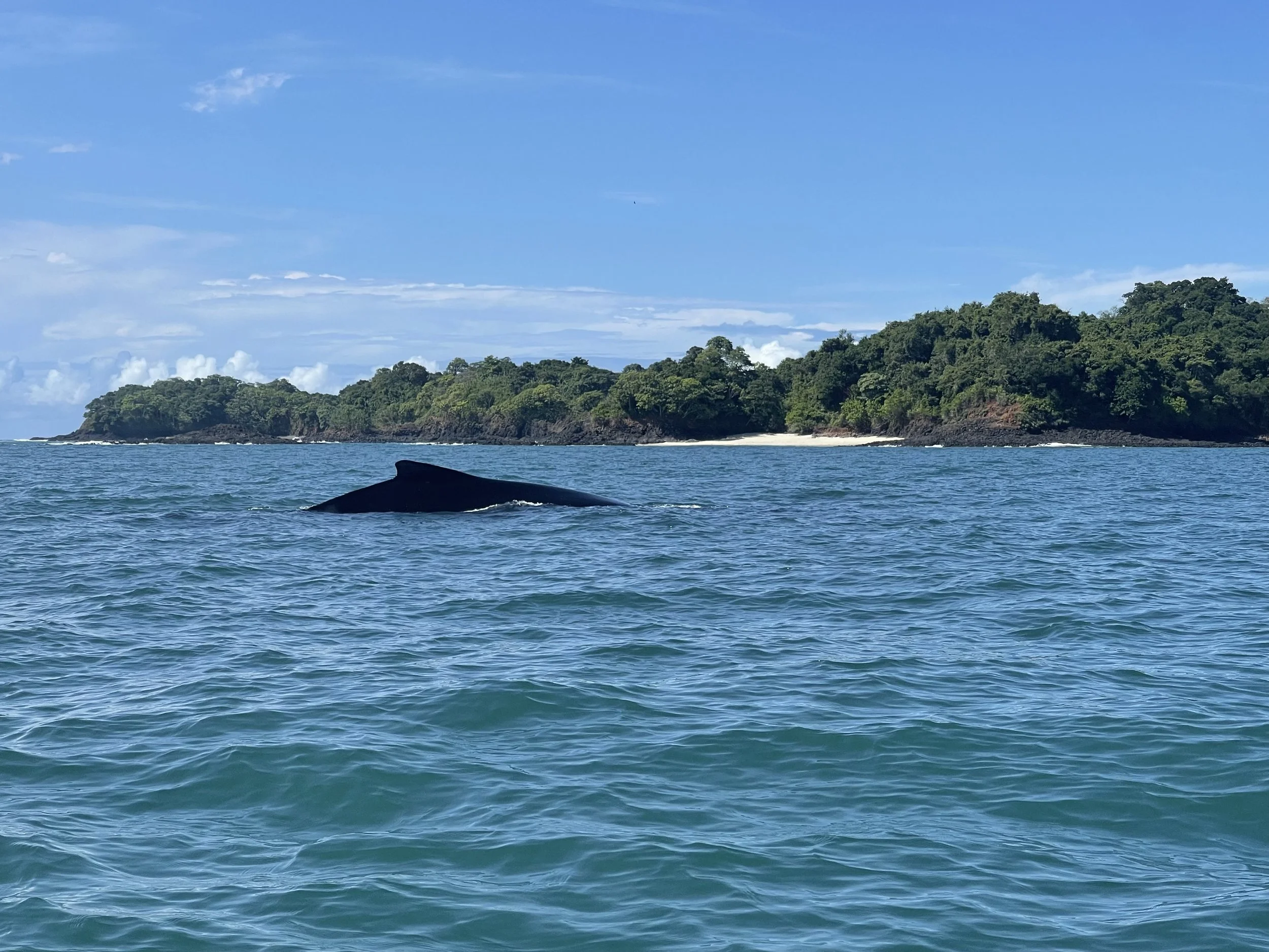 Coiba National Park Panama UNESCO Biosphere Reserve — private access