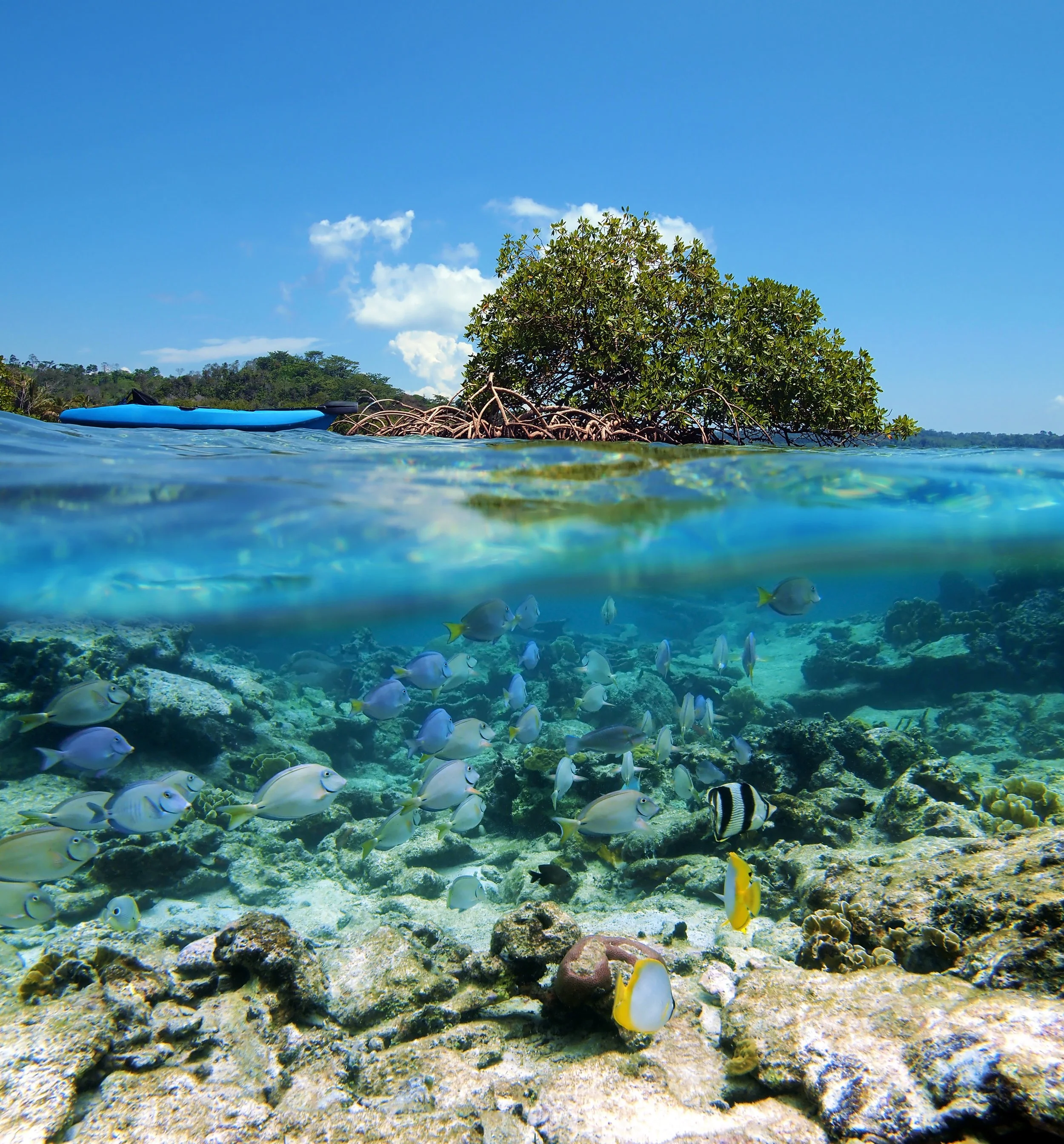 Bocas del Toro private island resort Panama — VIARE curated property