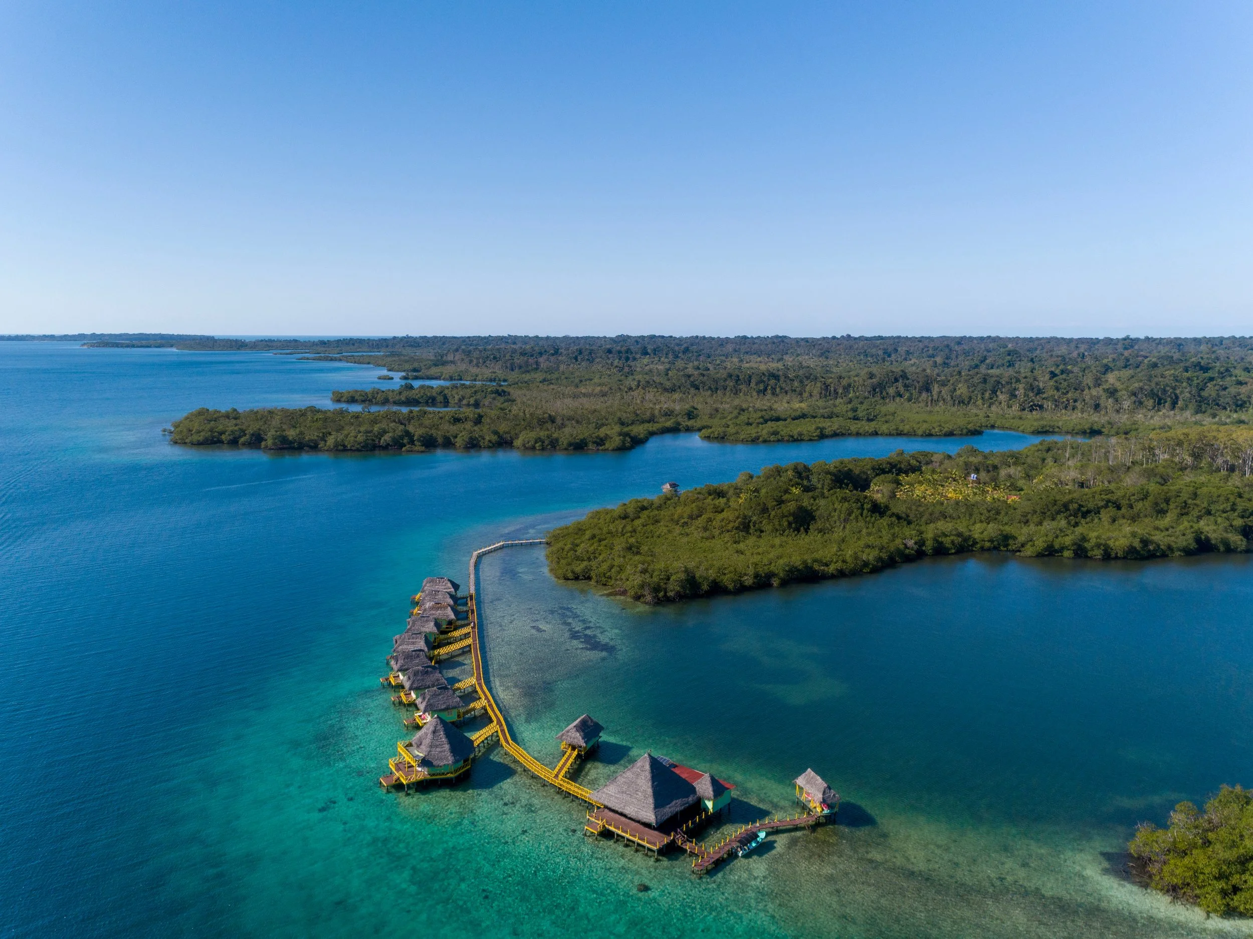 Dolphin Bay Bocas del Toro Panama — private boat tour Caribbean