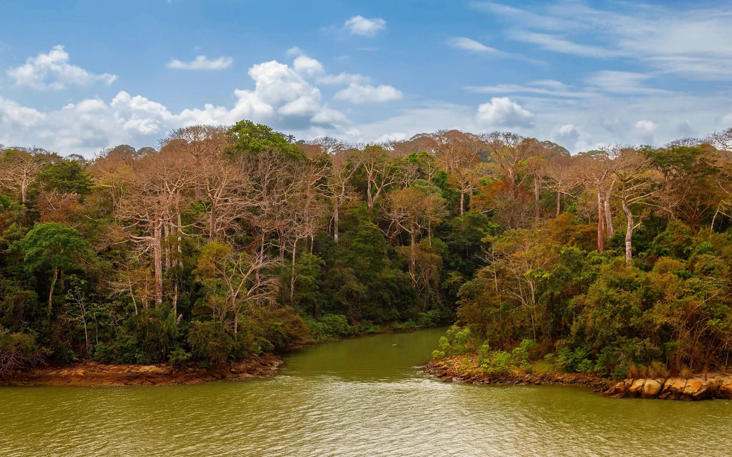 Gatun Lake sunrise private boat Panama Canal zone — VIARE tour