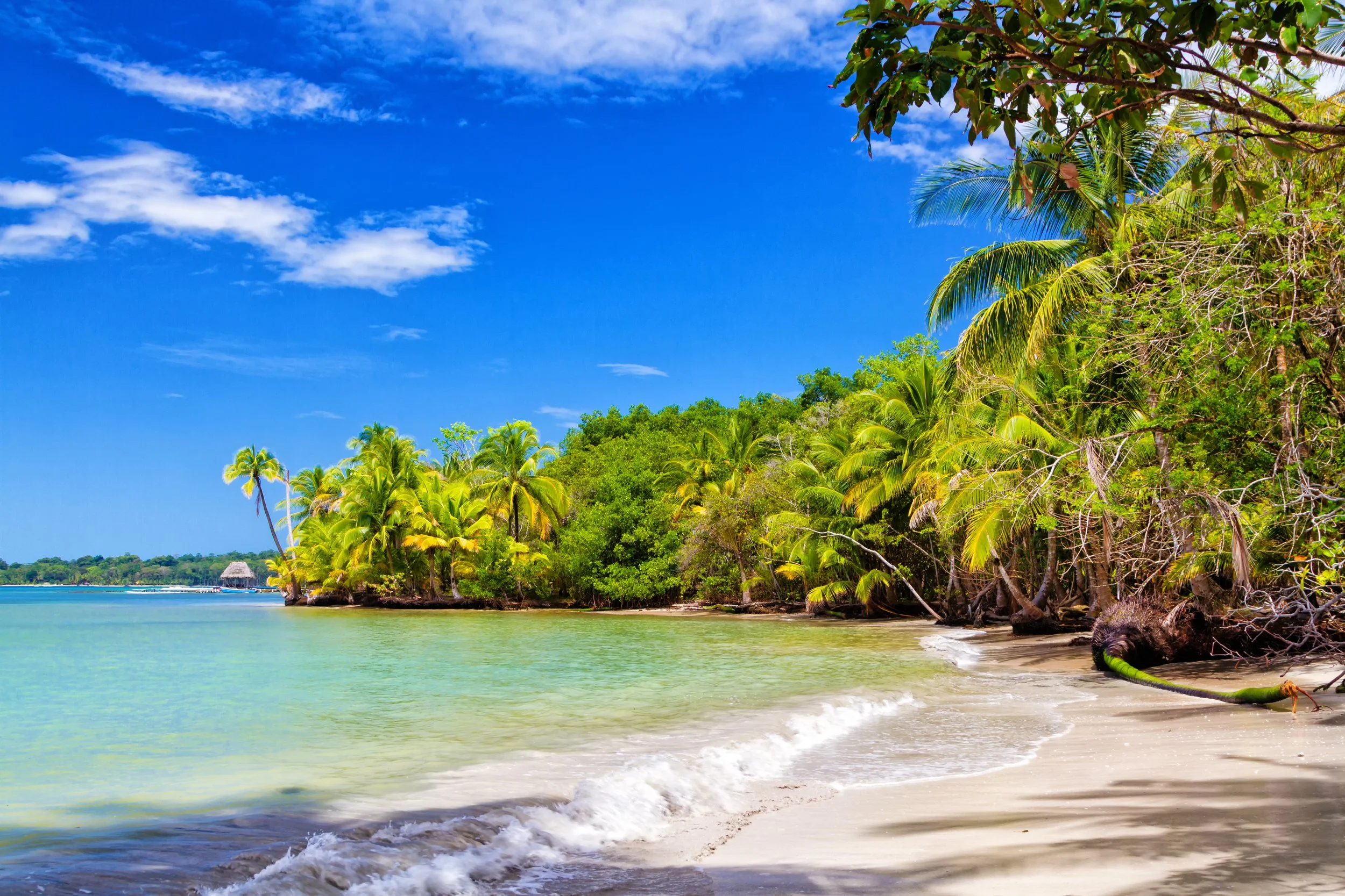 Bocas del Toro private island resort Panama — VIARE curated property
