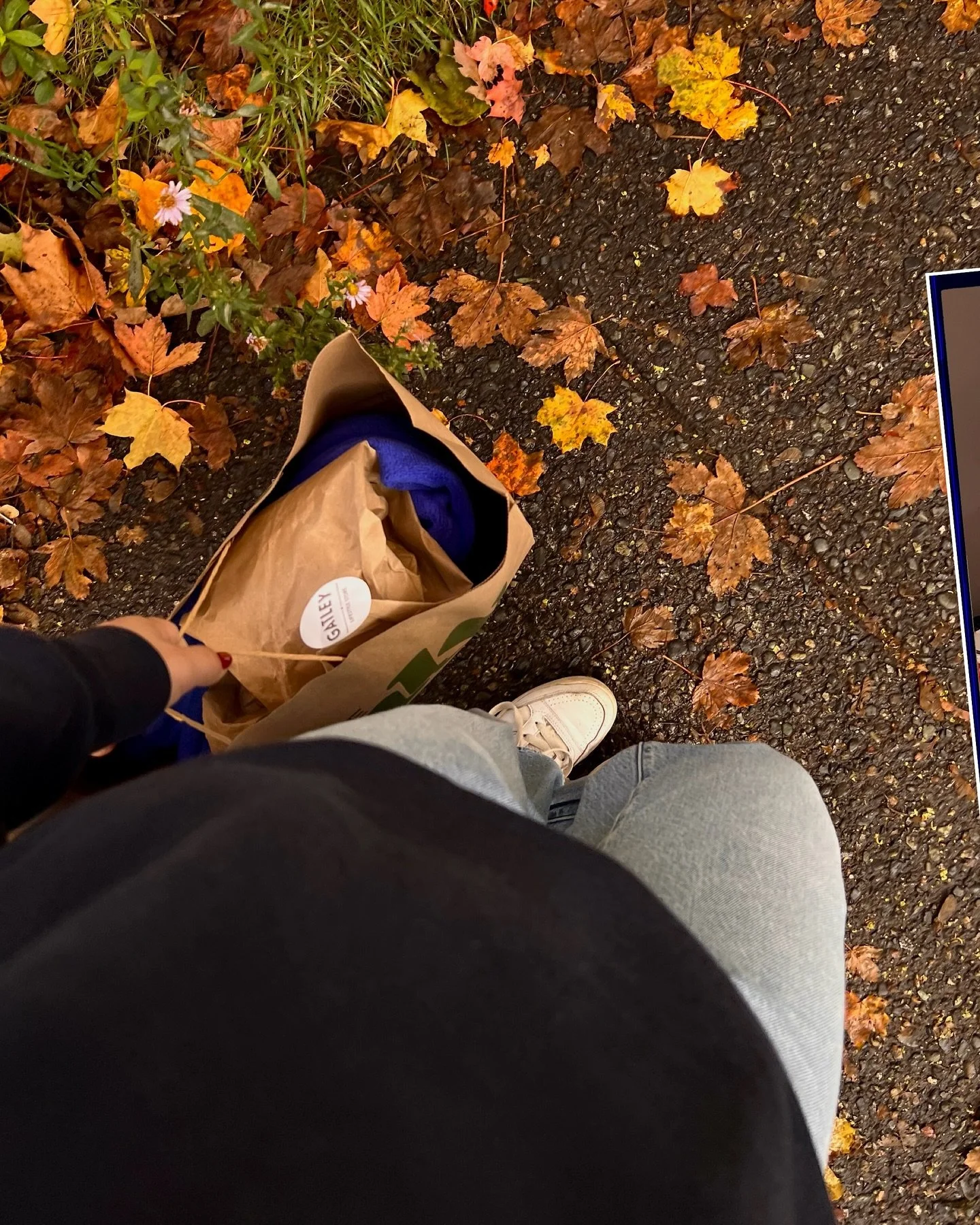 if only fall lasted a wee bit longer 🧡 heading off in a couple of days for an exciting adventure to bypass wet coast november 🌀