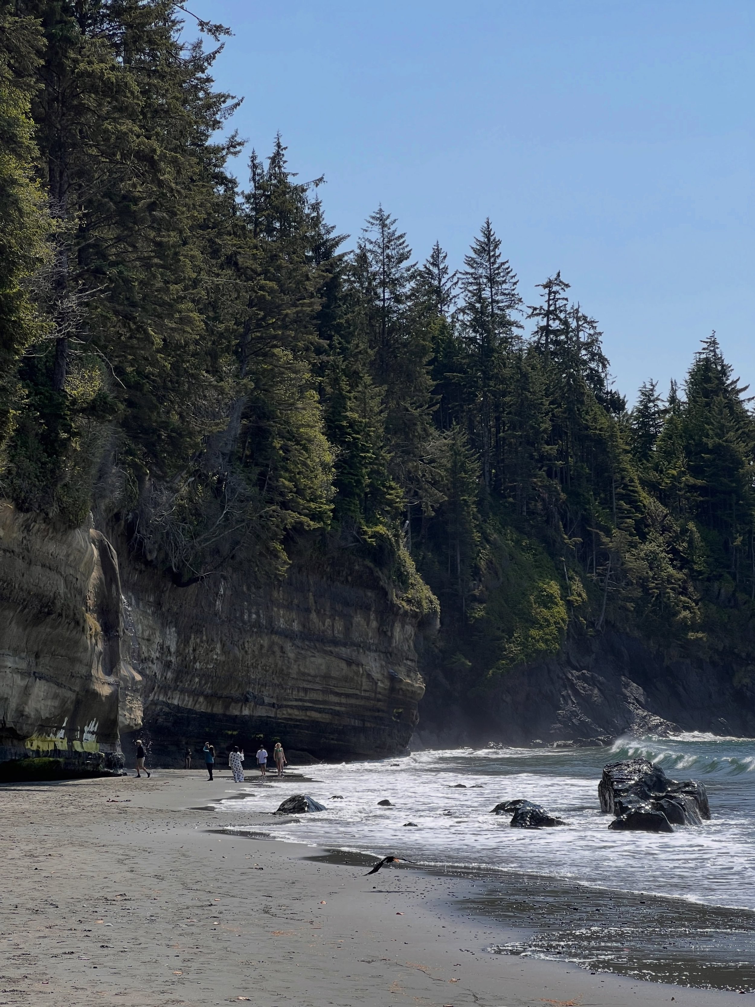 it&rsquo;s quite pretty, isn&rsquo;t it! 🌀🌊🌼🌲🫶💛
