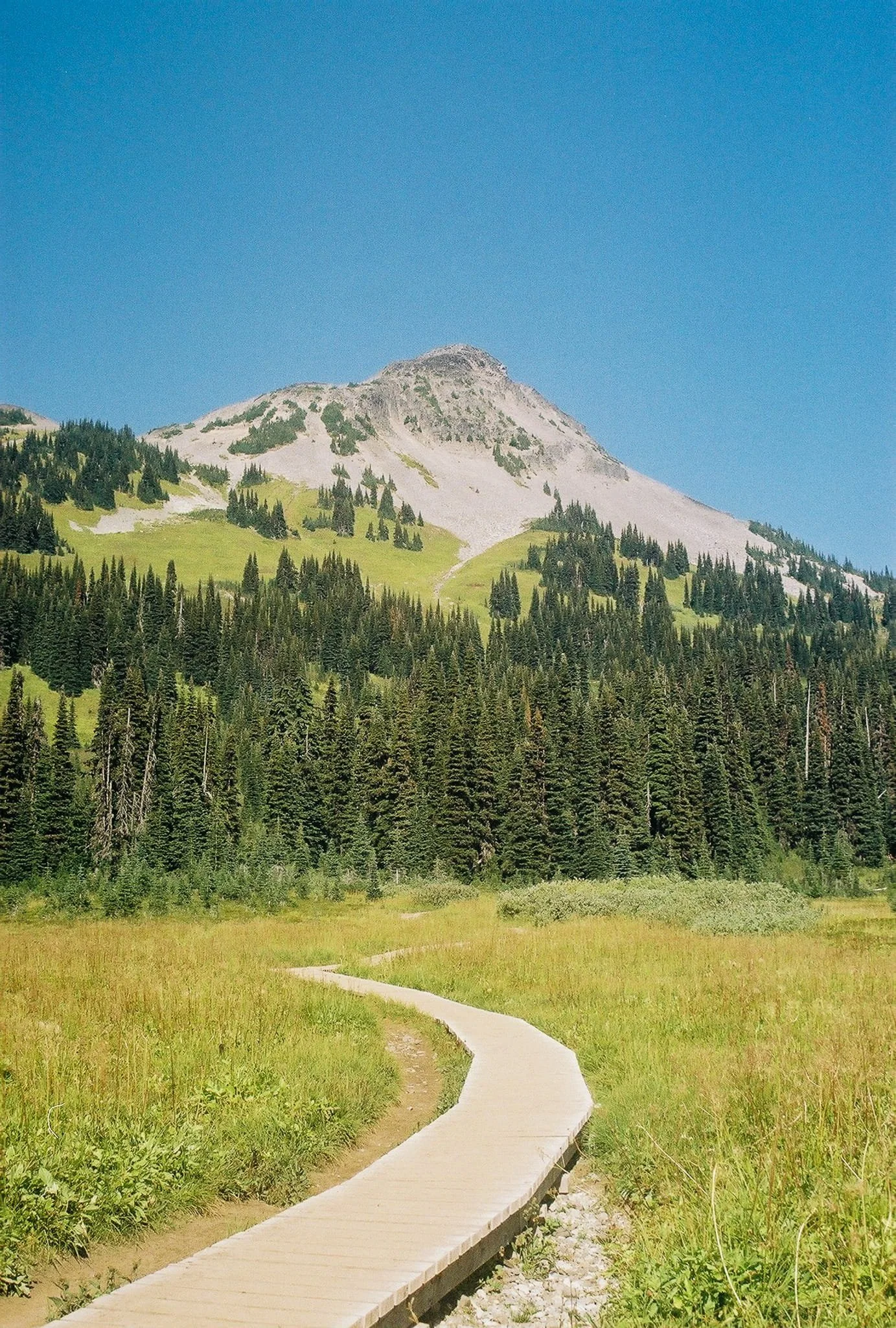 hiking through garibaldi provincial park