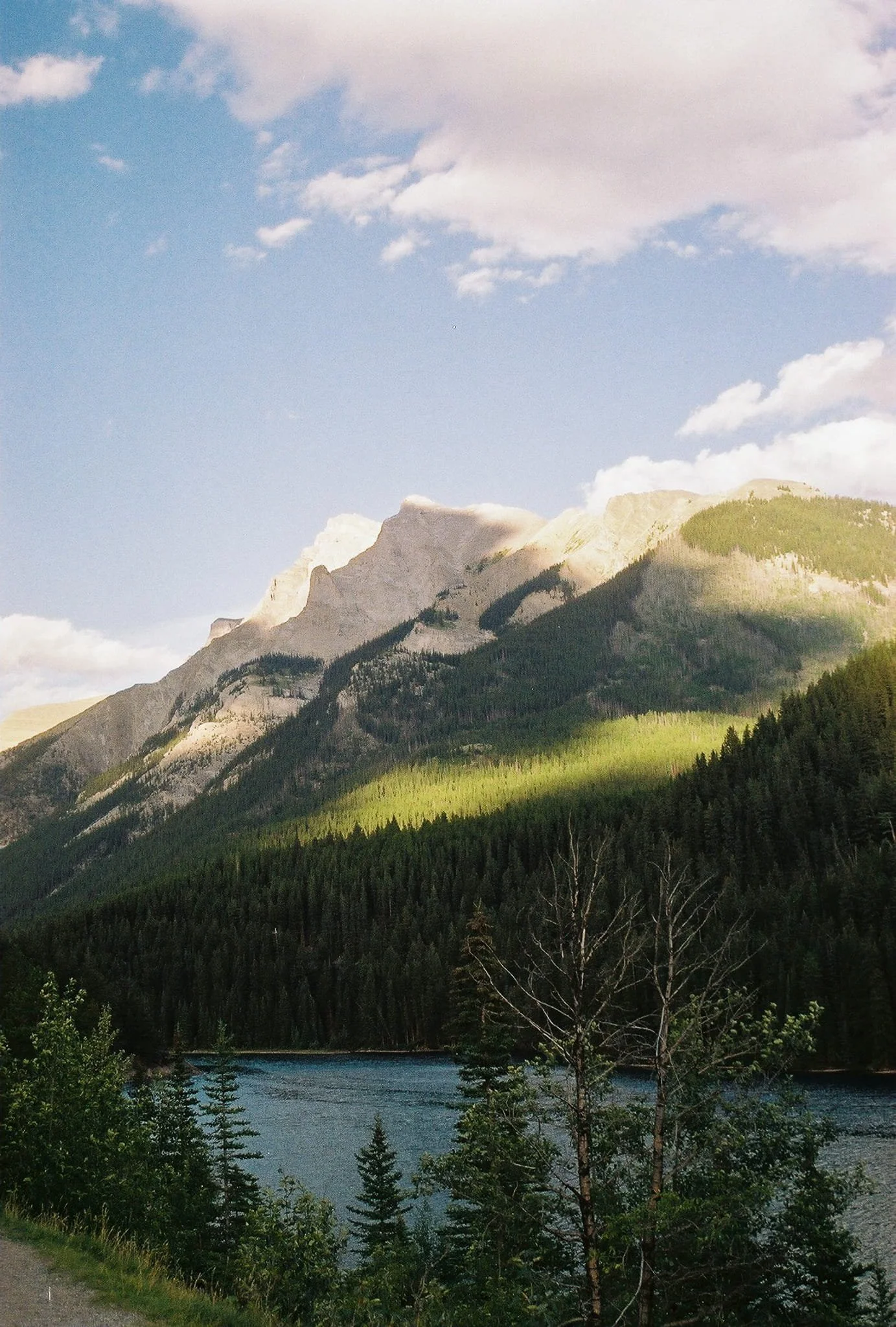 Canadian rocky mountains in the summer at sunset