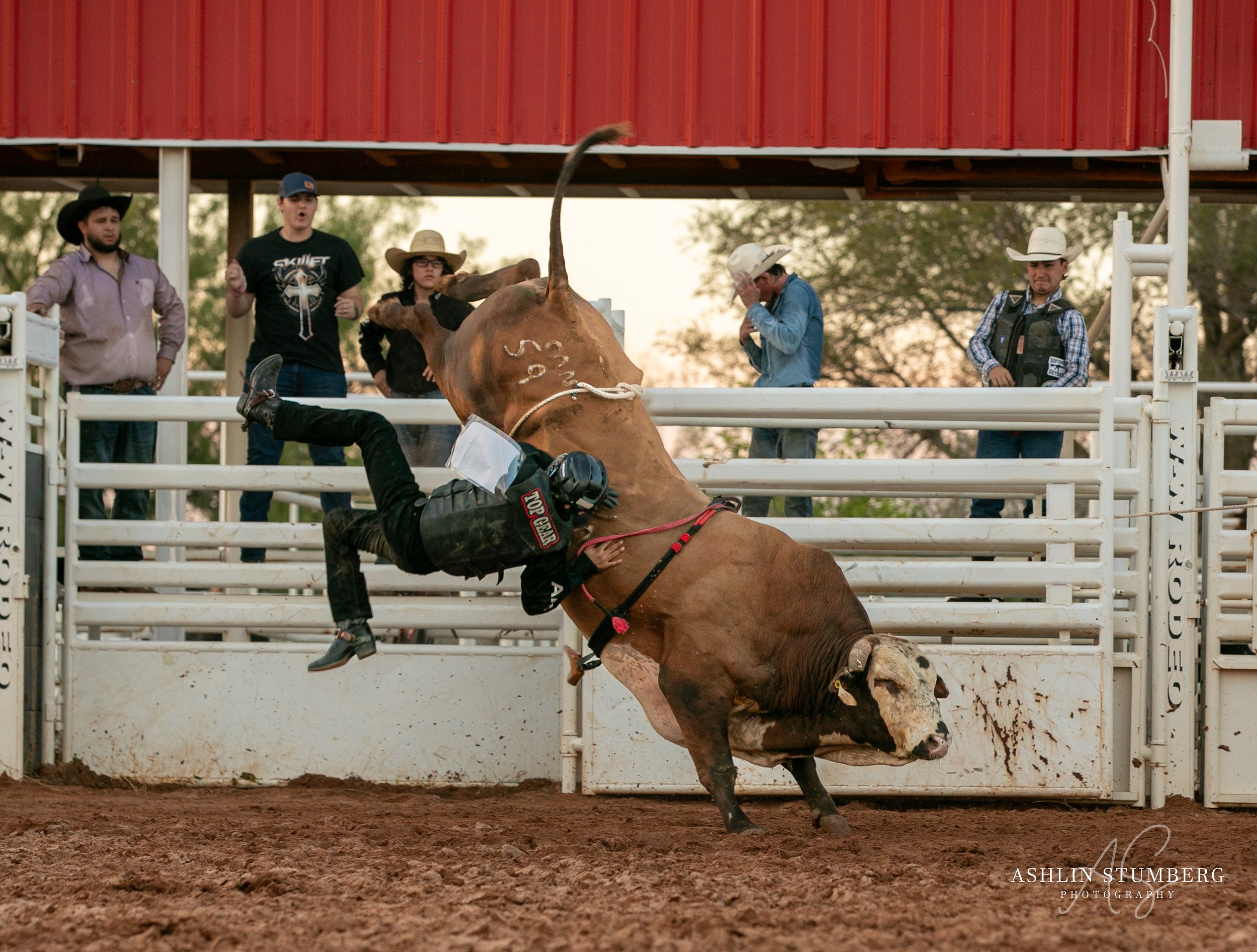 Photo Sep 15 2023, 6 44 02 PM.jpg