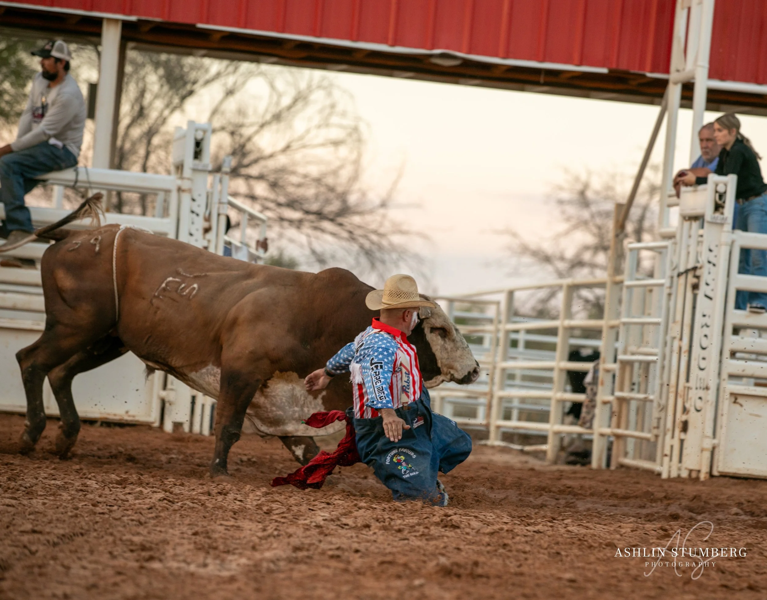 Photo Sep 15 2023, 6 44 10 PM.jpg