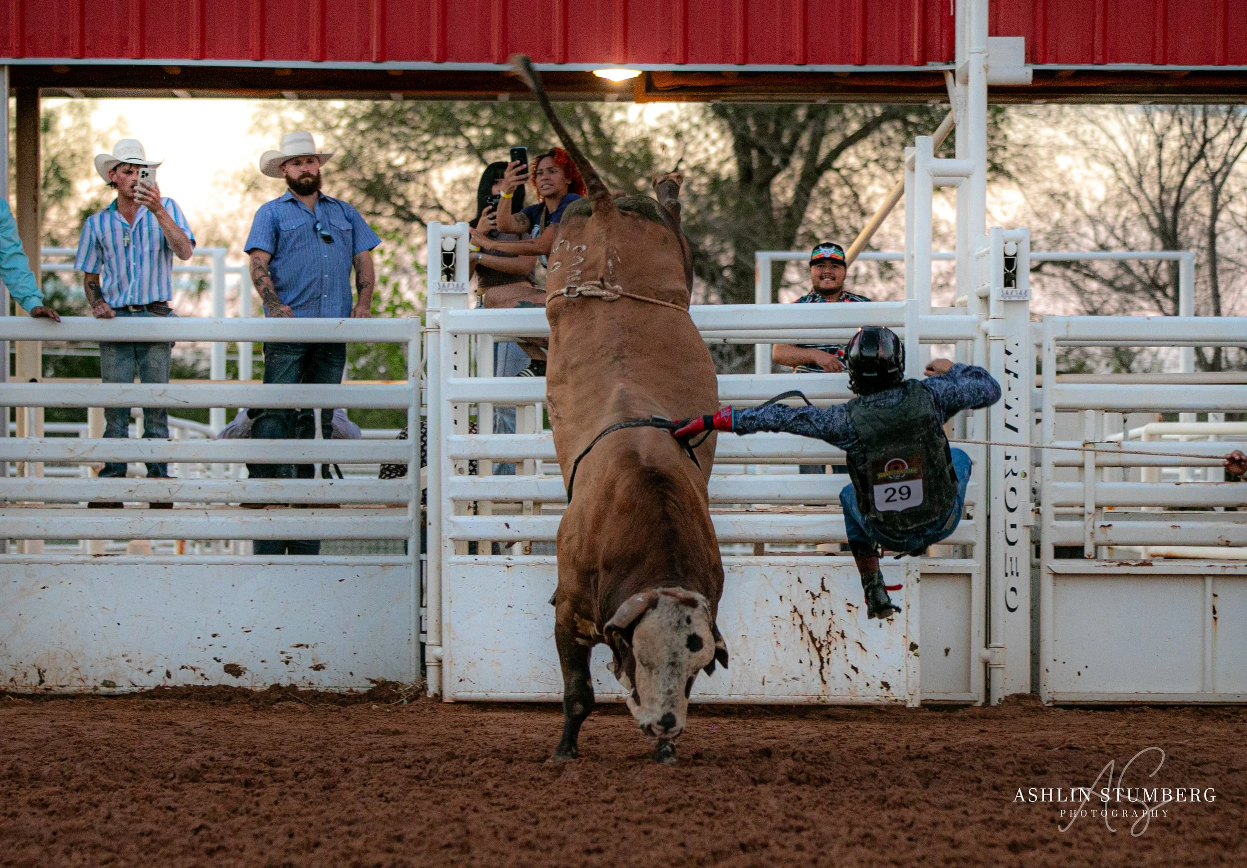 Photo Sep 16 2023, 6 58 25 PM.jpg