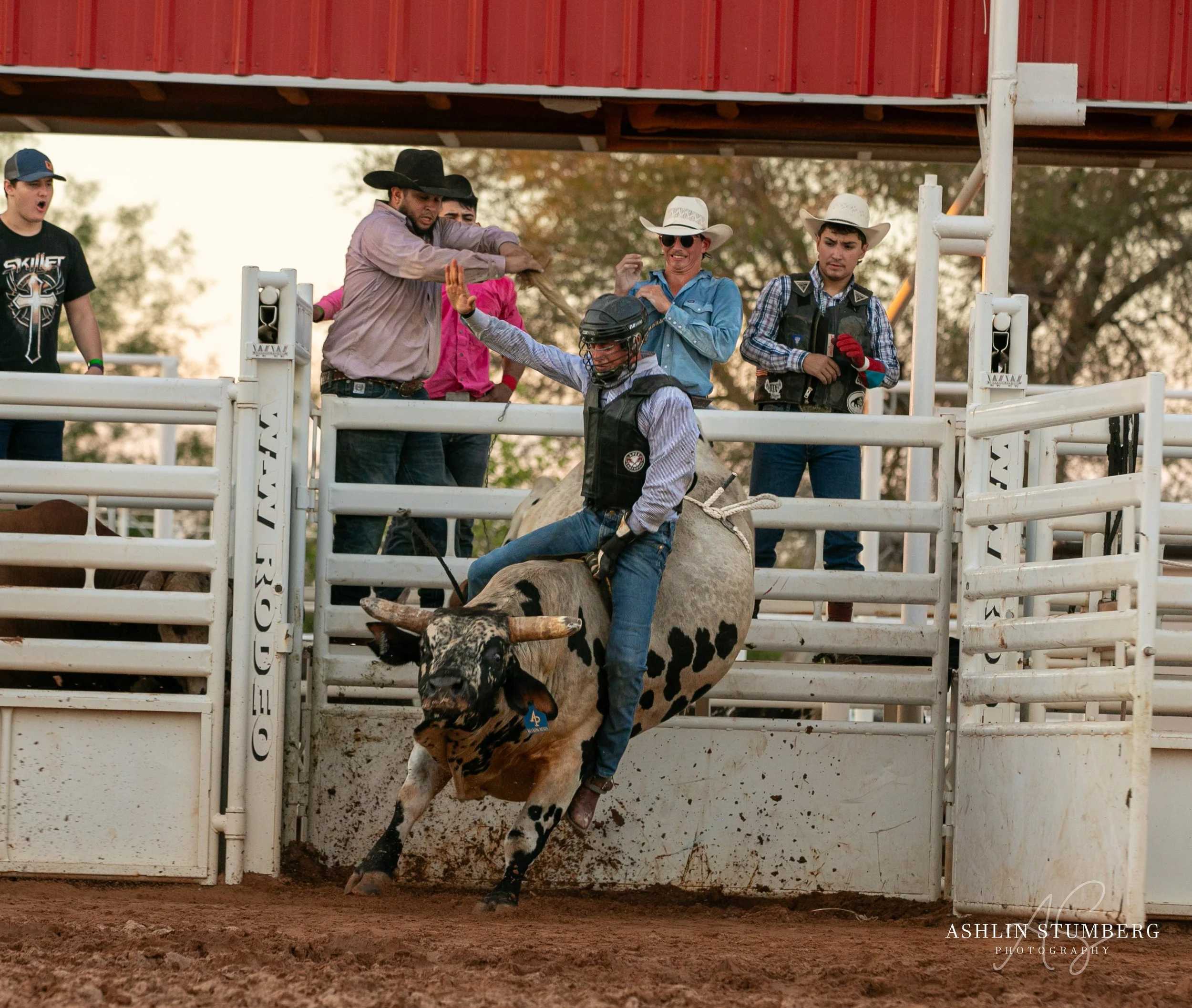 Photo Sep 15 2023, 6 41 14 PM (2).jpg