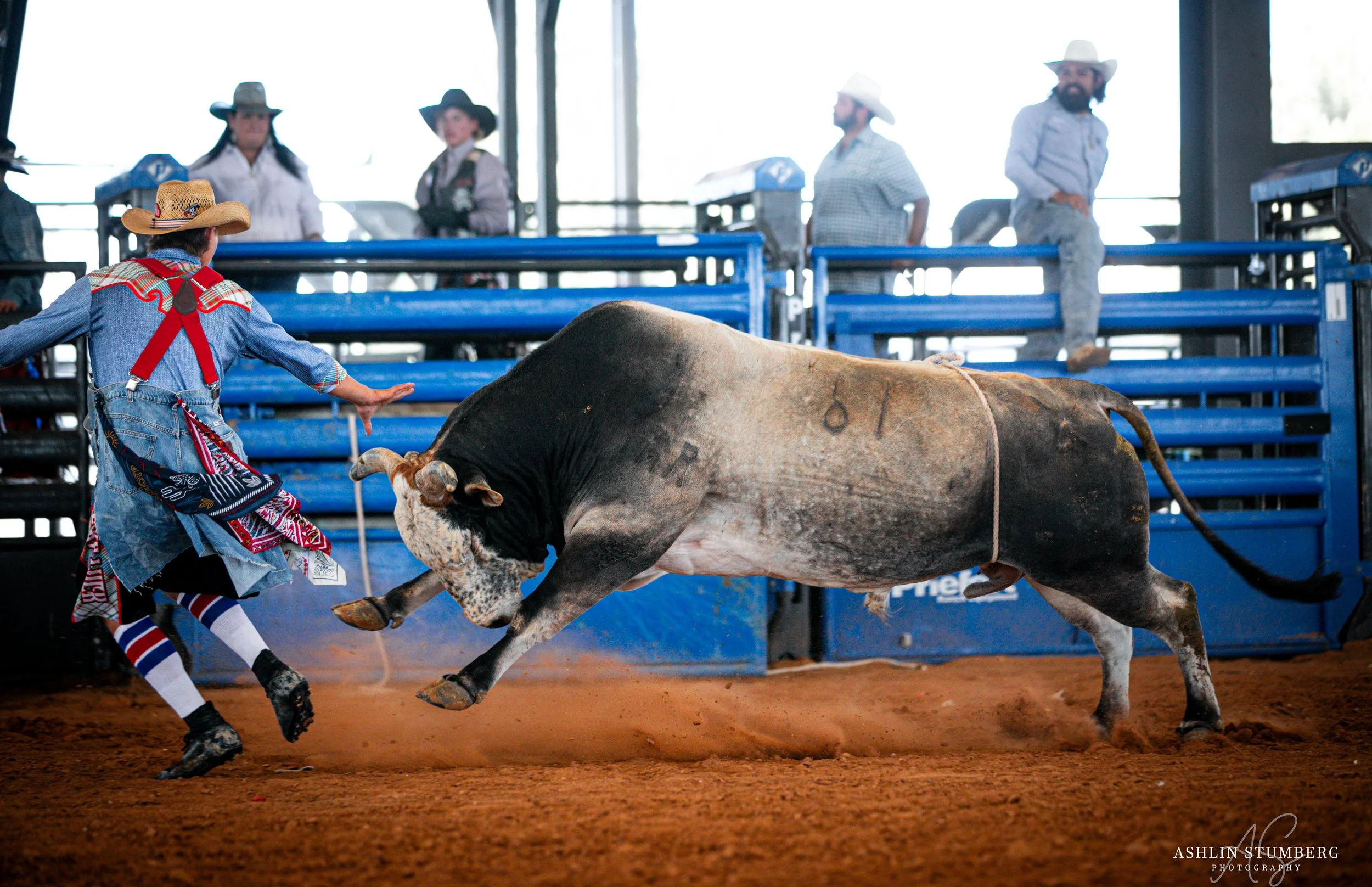 Photo Jun 22 2024, 12 32 51 PM.jpg