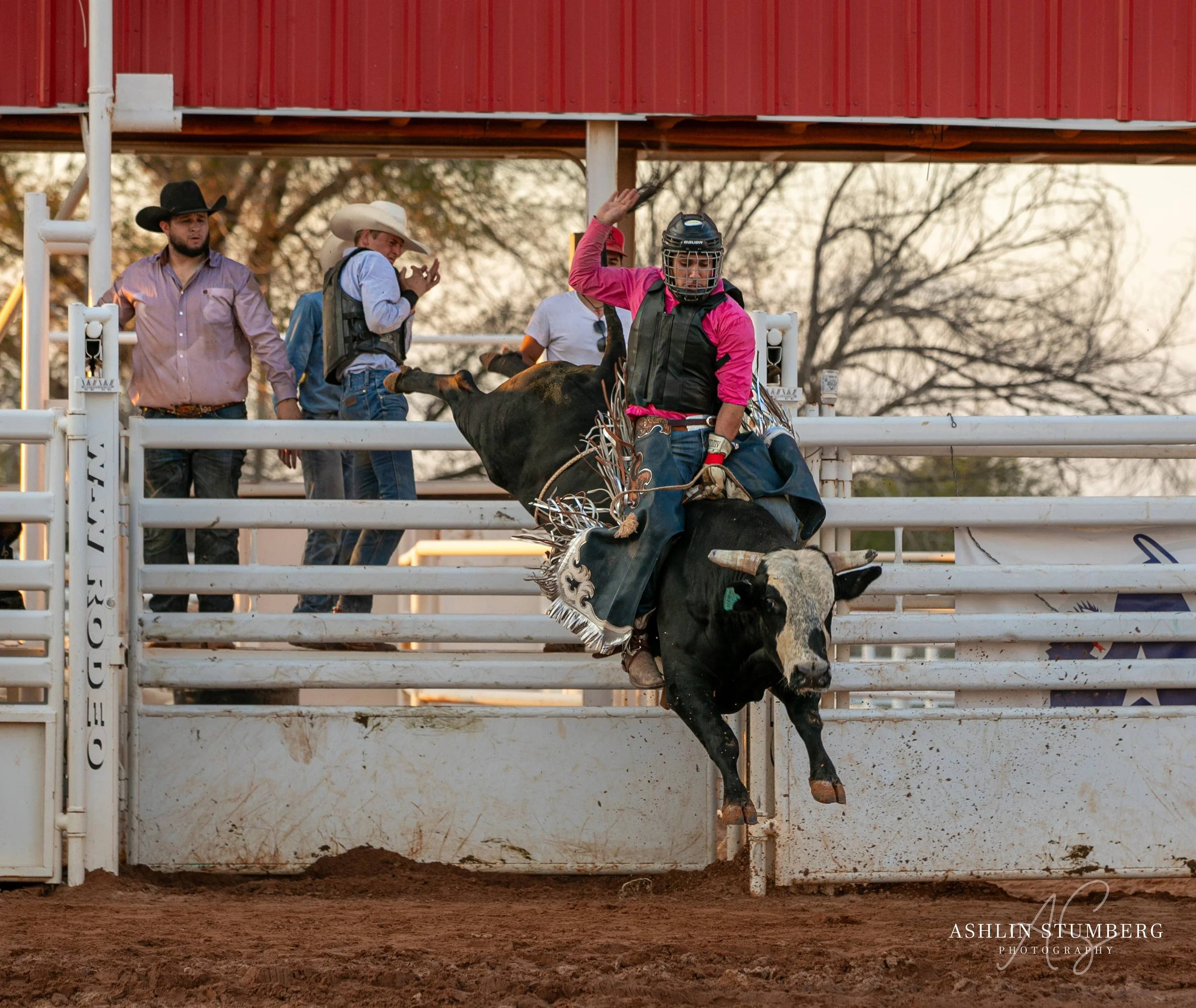 Photo Sep 15 2023, 6 35 27 PM.jpg