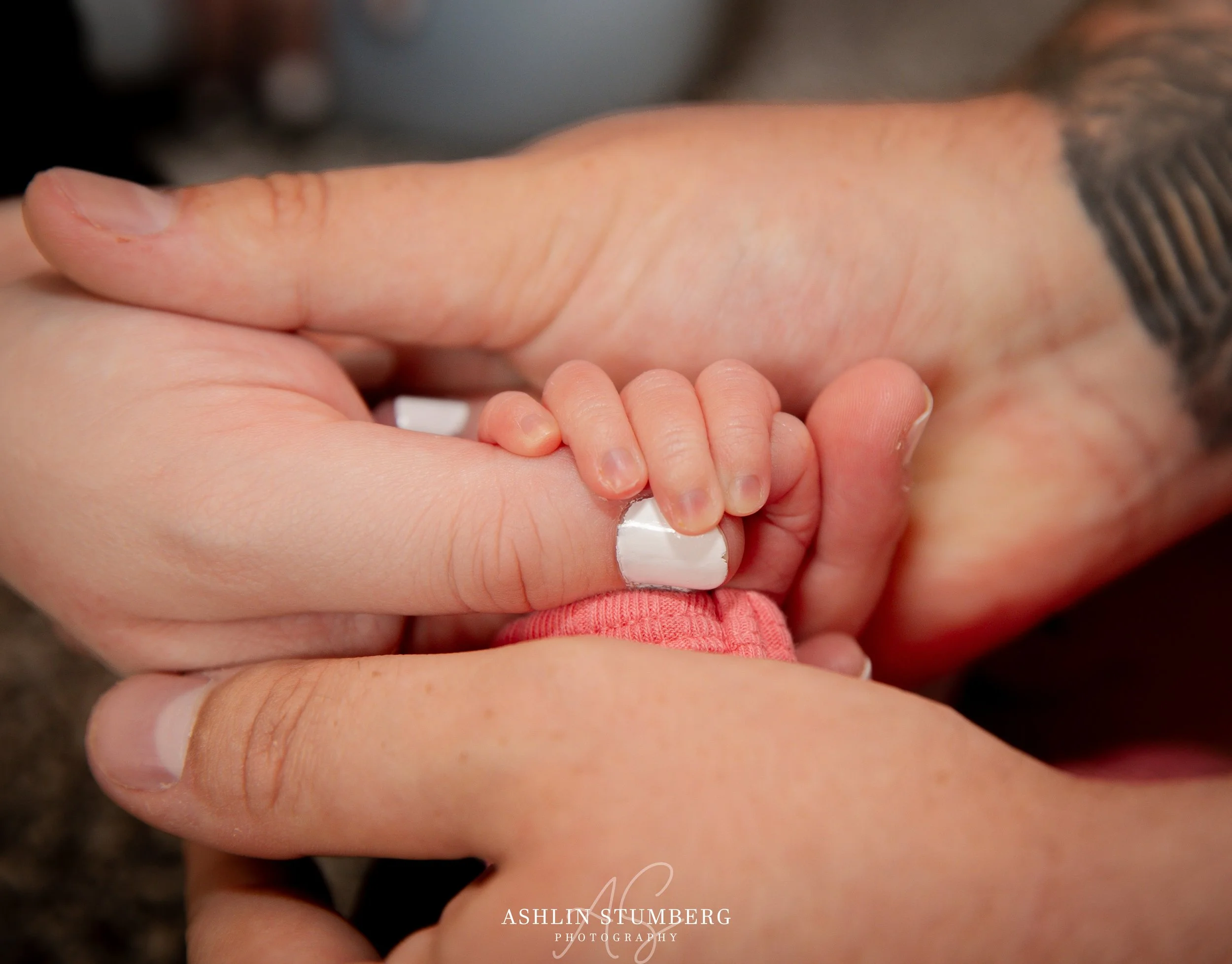 Photo Sep 06 2025, 3 25 48 PM.jpg