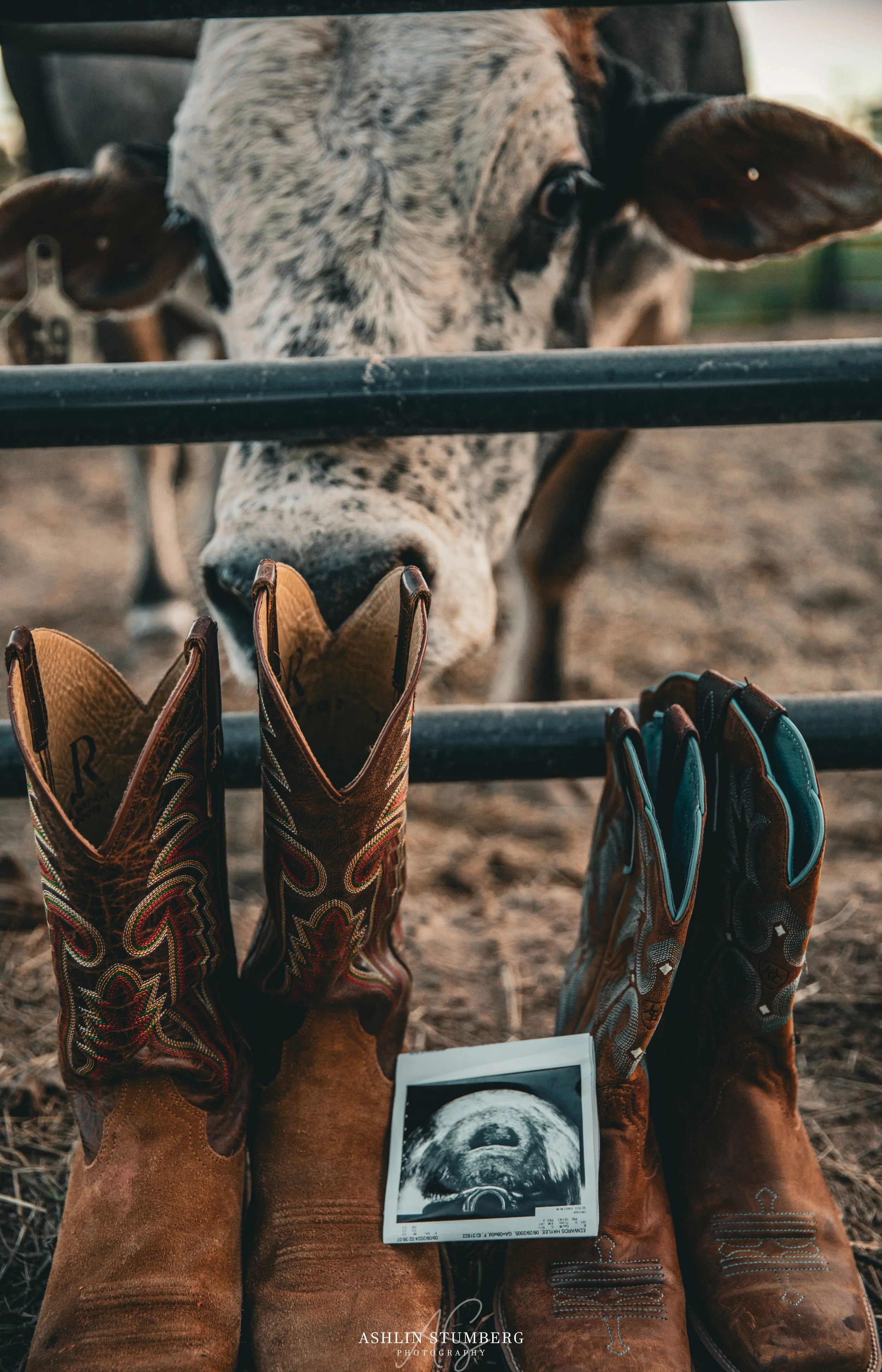 Photo Sep 28 2024, 5 55 48 PM.jpg