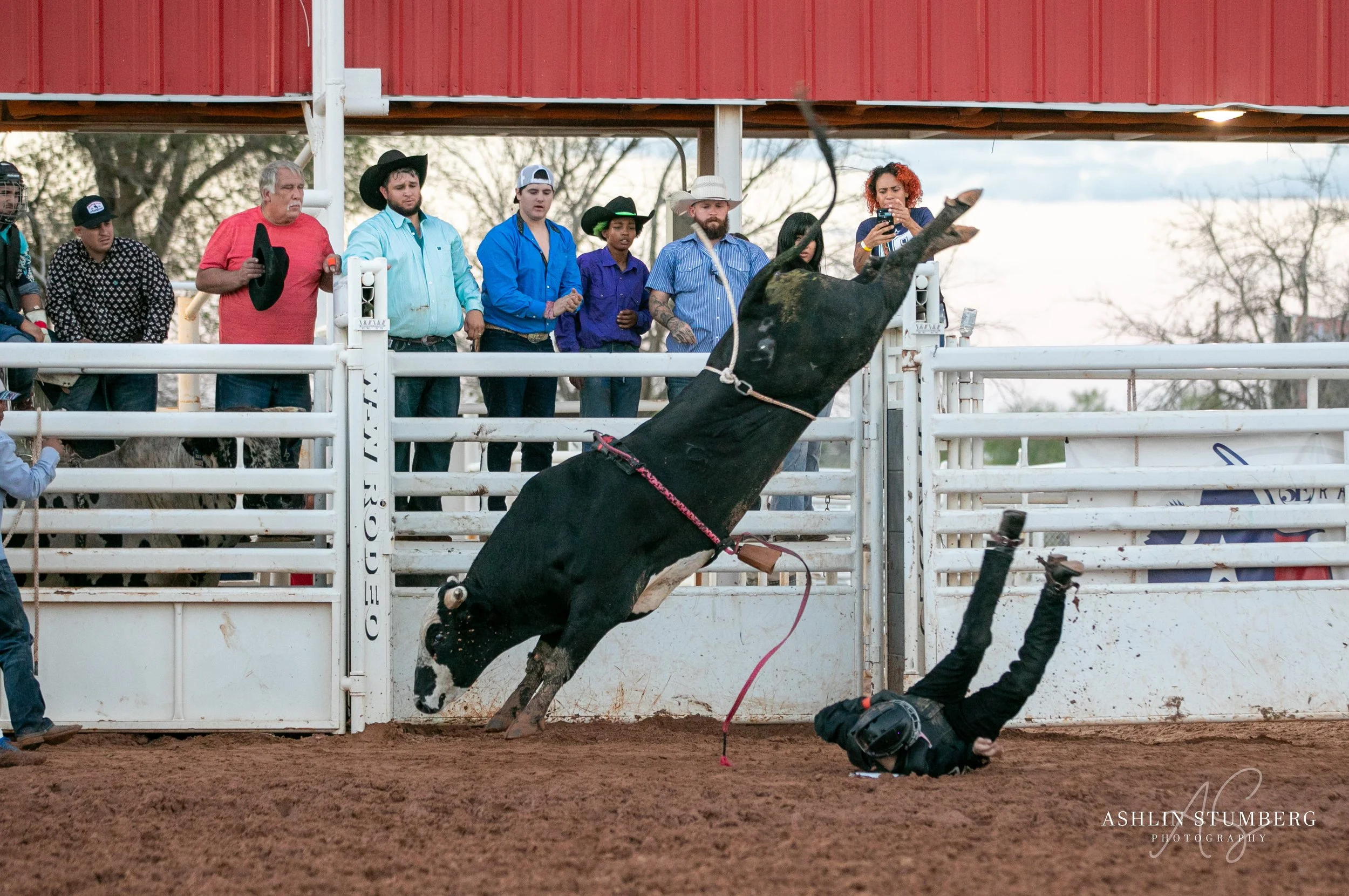 Photo Sep 16 2023, 6 53 48 PM.jpg