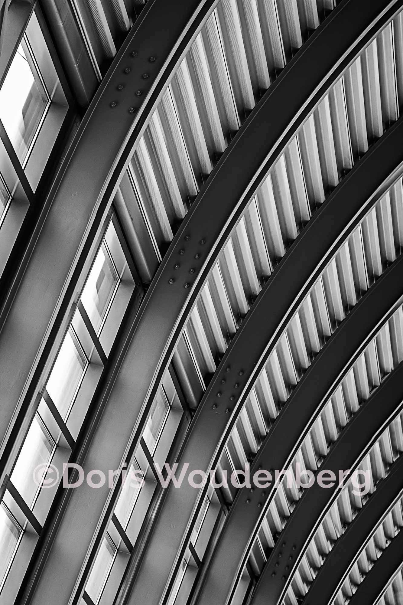CNE Enercare Centre - "Curves Amid the Lines"